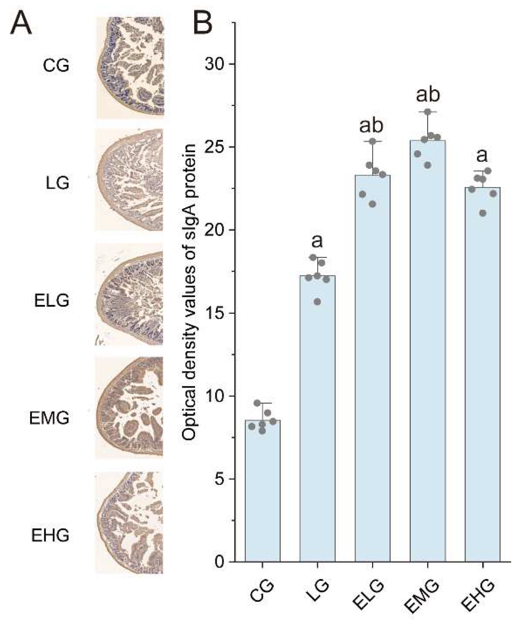 Preprints 149615 g004