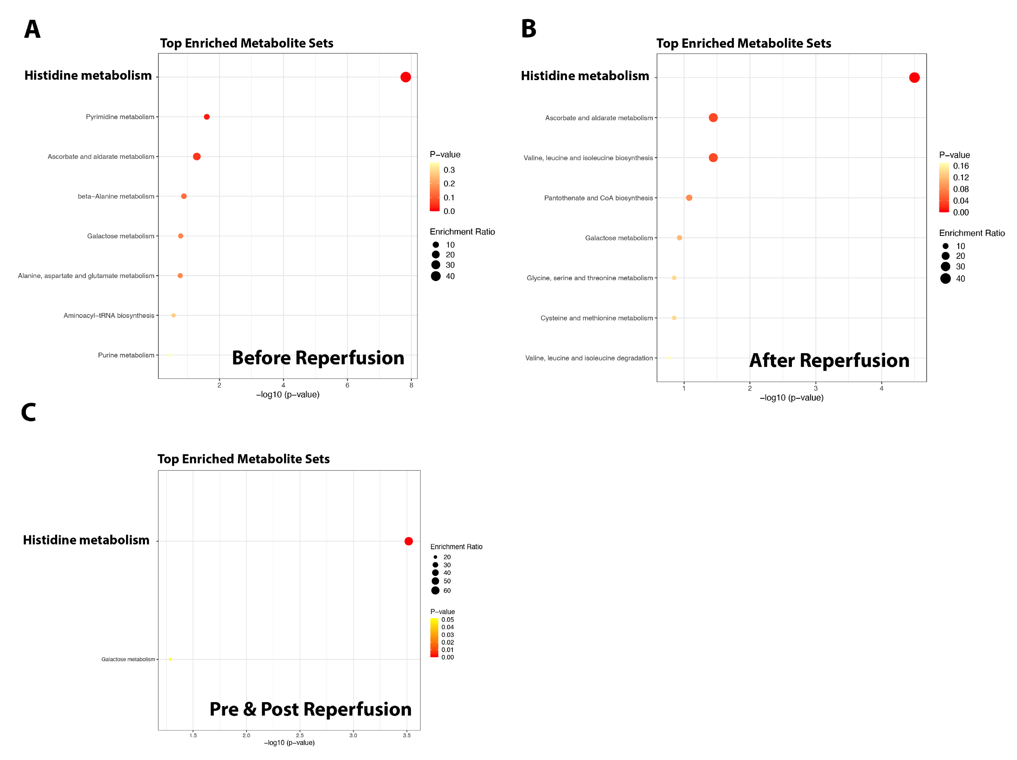 Preprints 215579 g003 Preprints 215579 g003