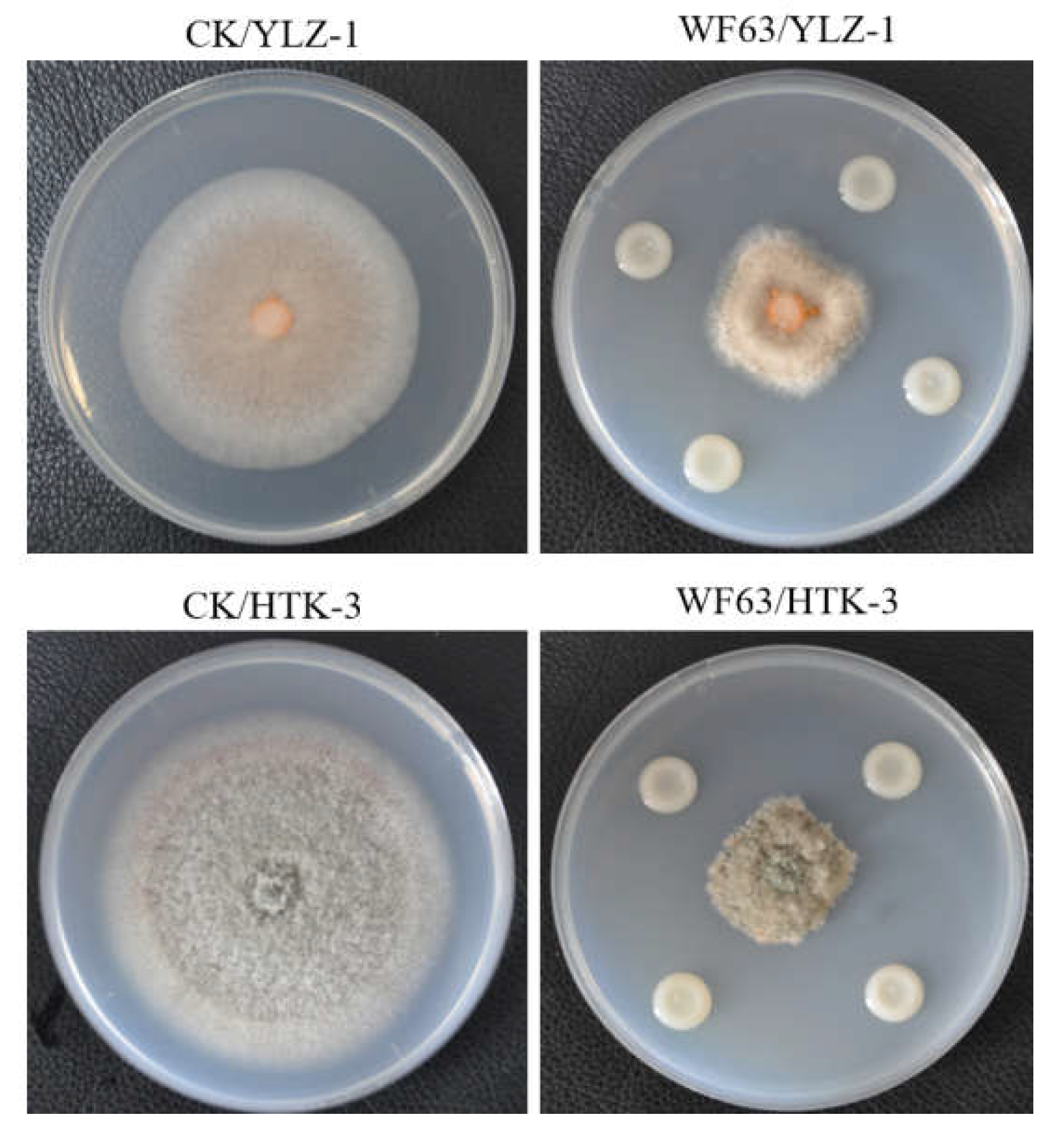 Preprints 209701 g001