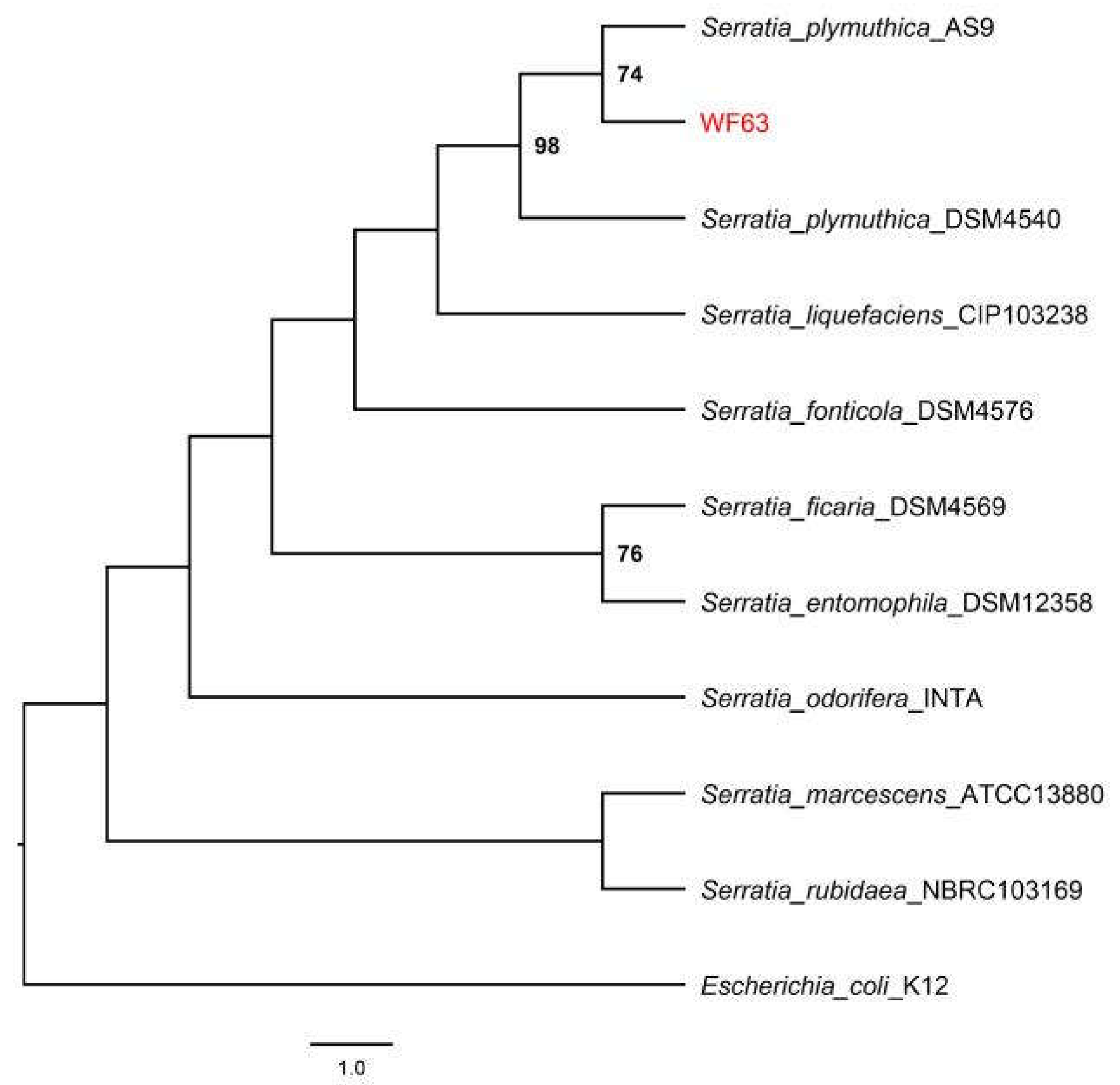 Preprints 209701 g002