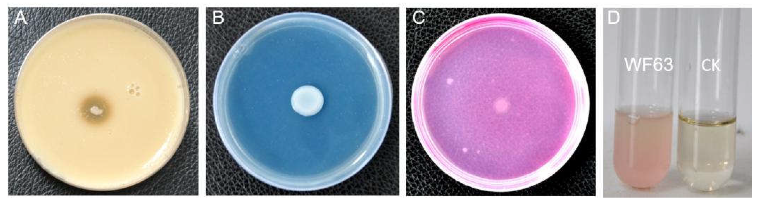 Preprints 209701 g004