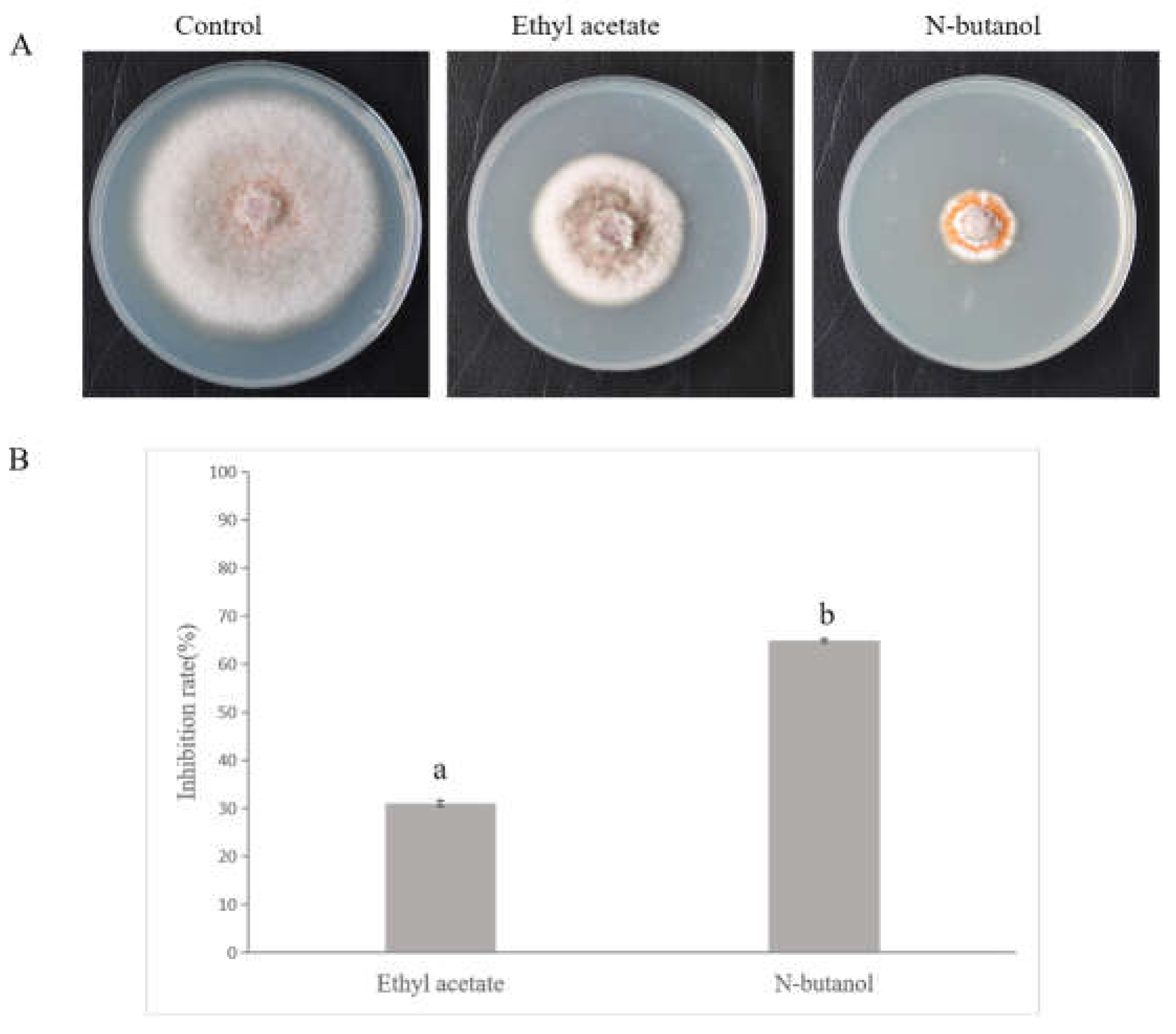 Preprints 209701 g006
