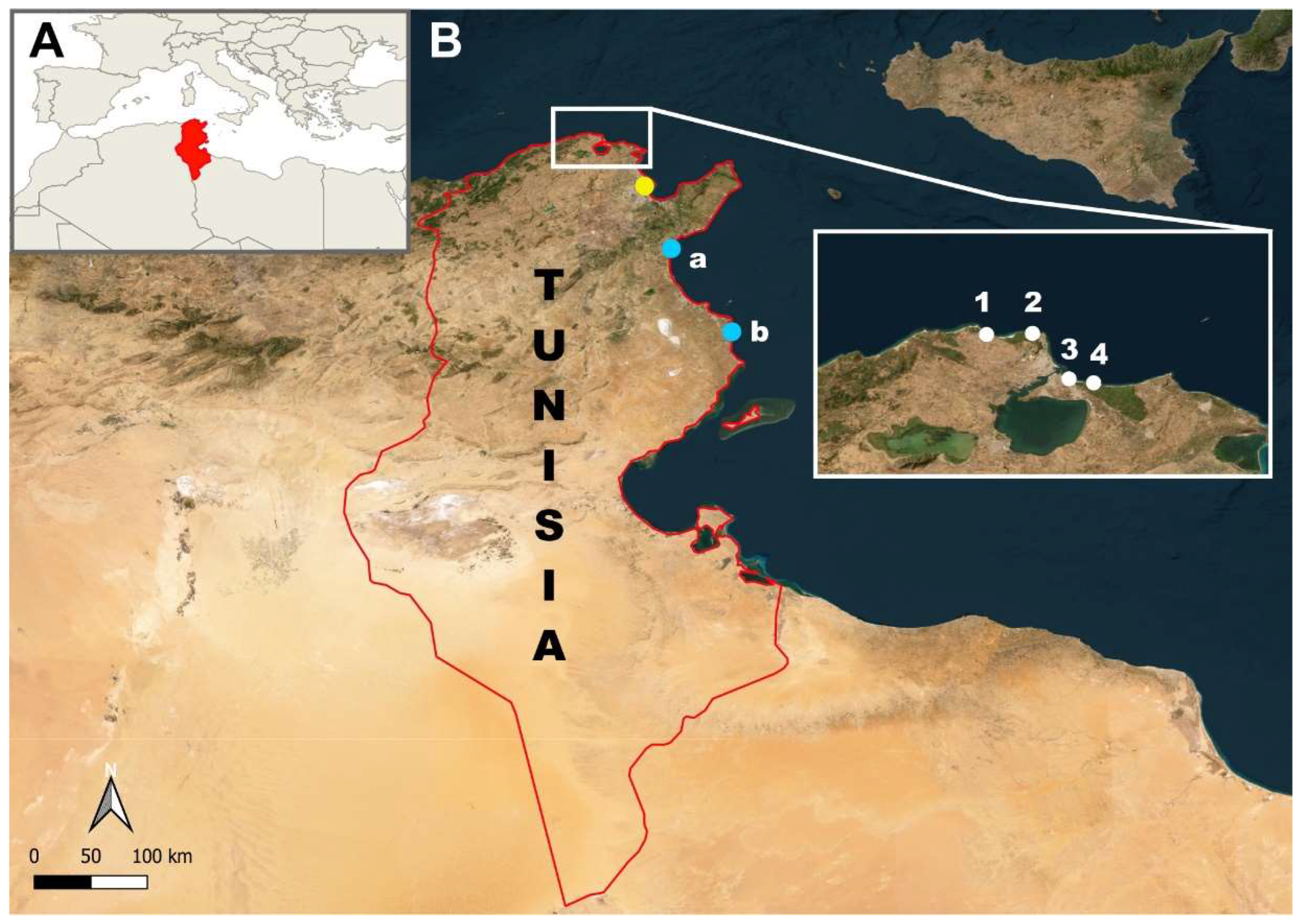 Preprints 140132 g001
