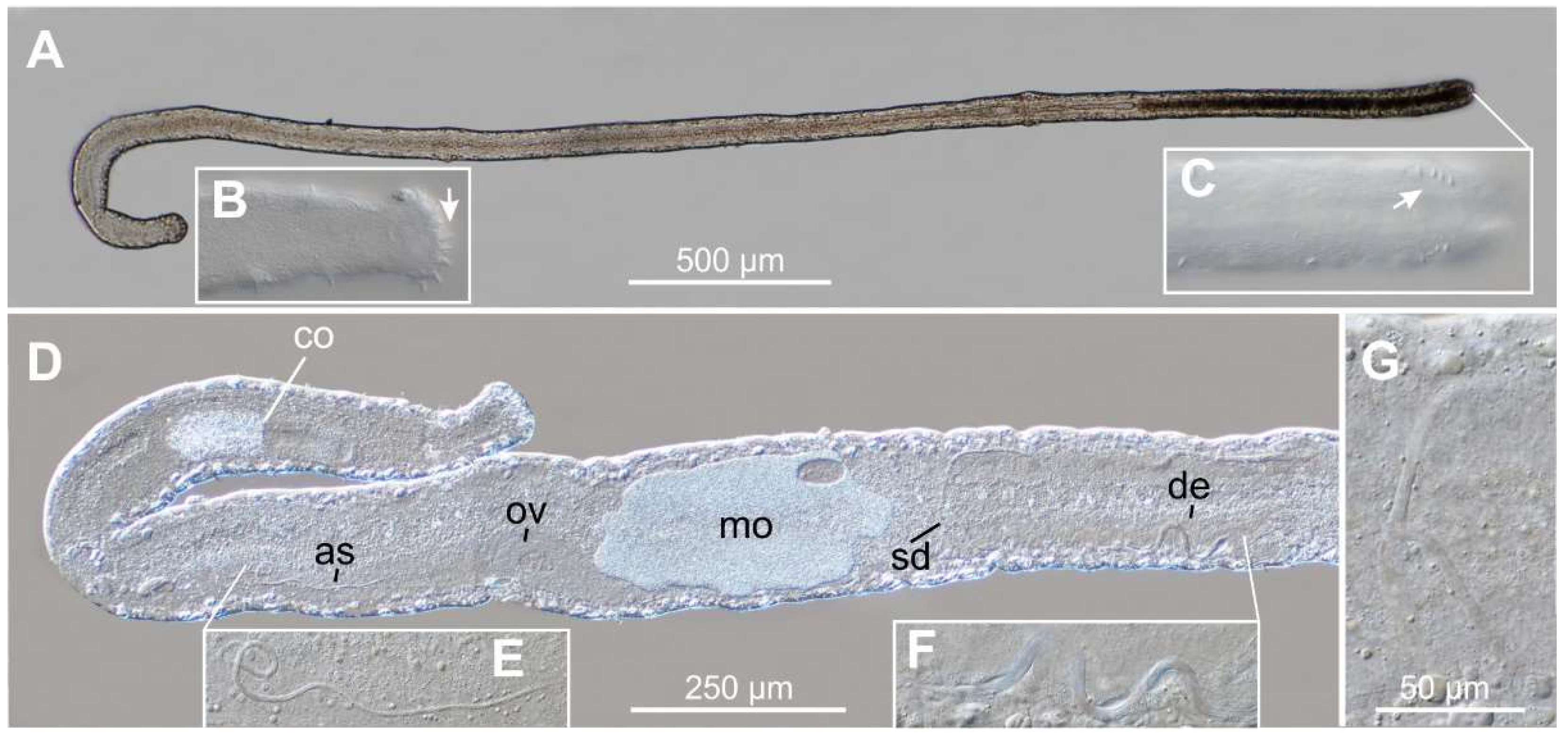 Preprints 140132 g006