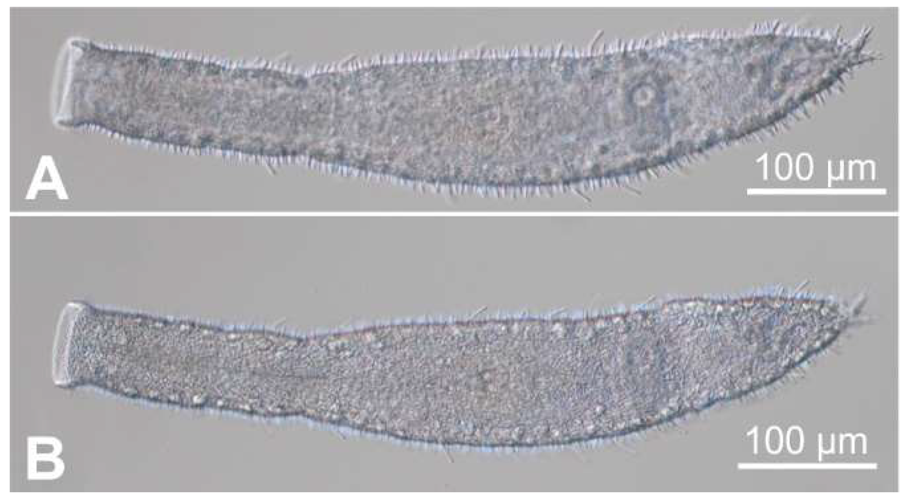 Preprints 140132 g007