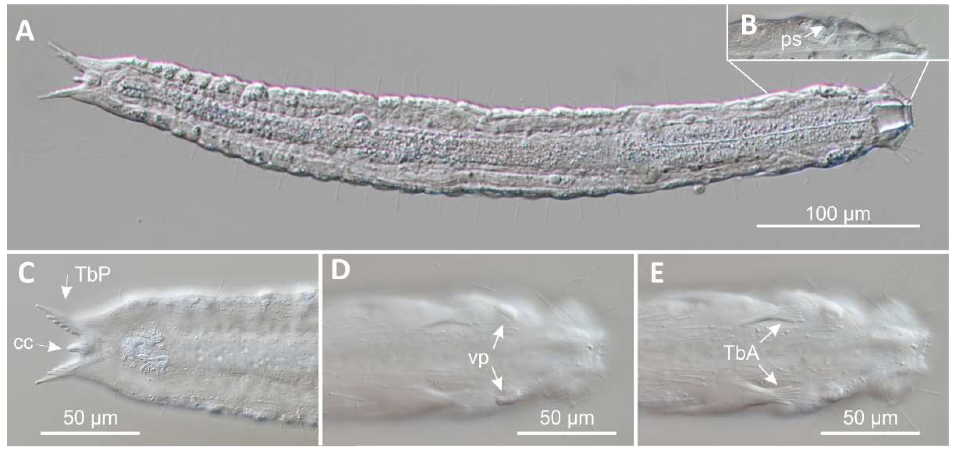 Preprints 140132 g013