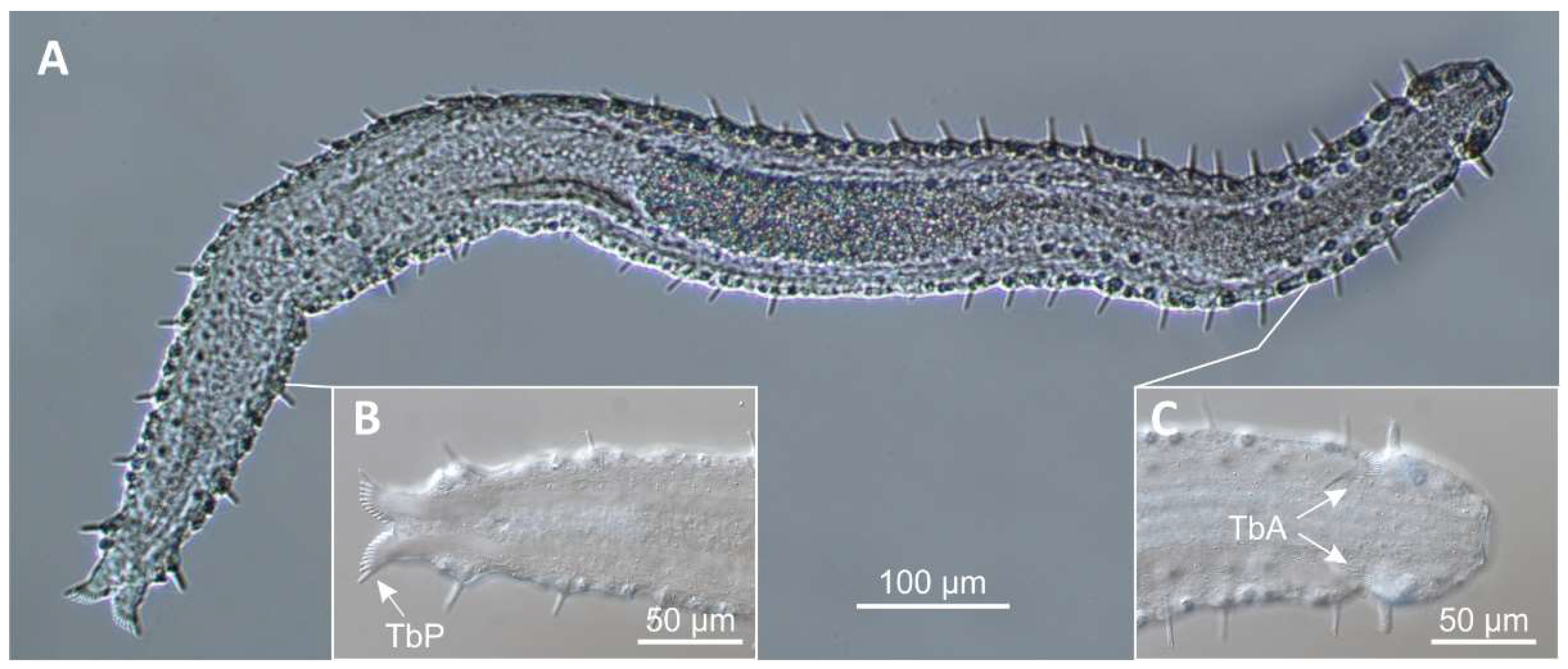 Preprints 140132 g014