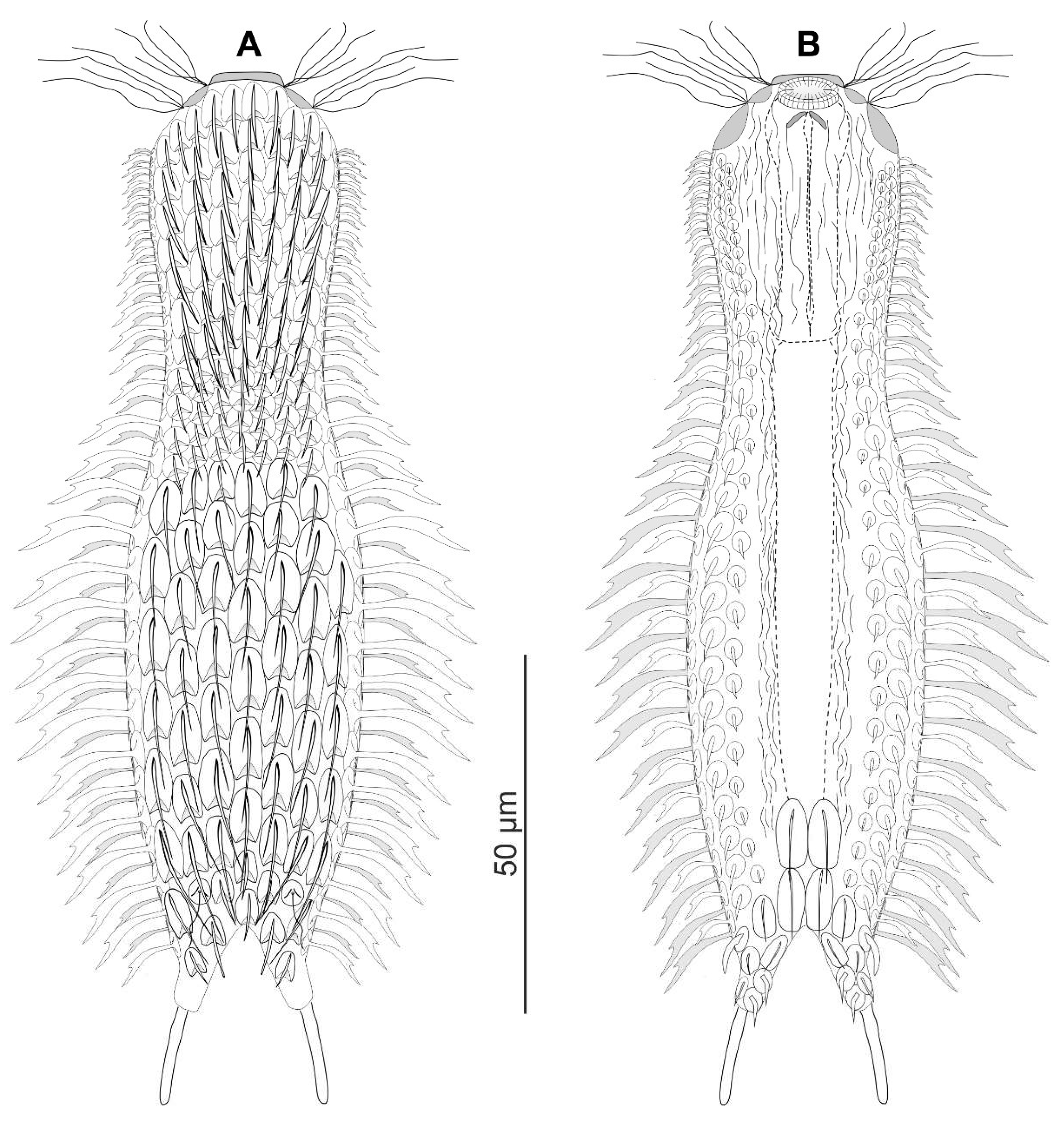 Preprints 140132 g018