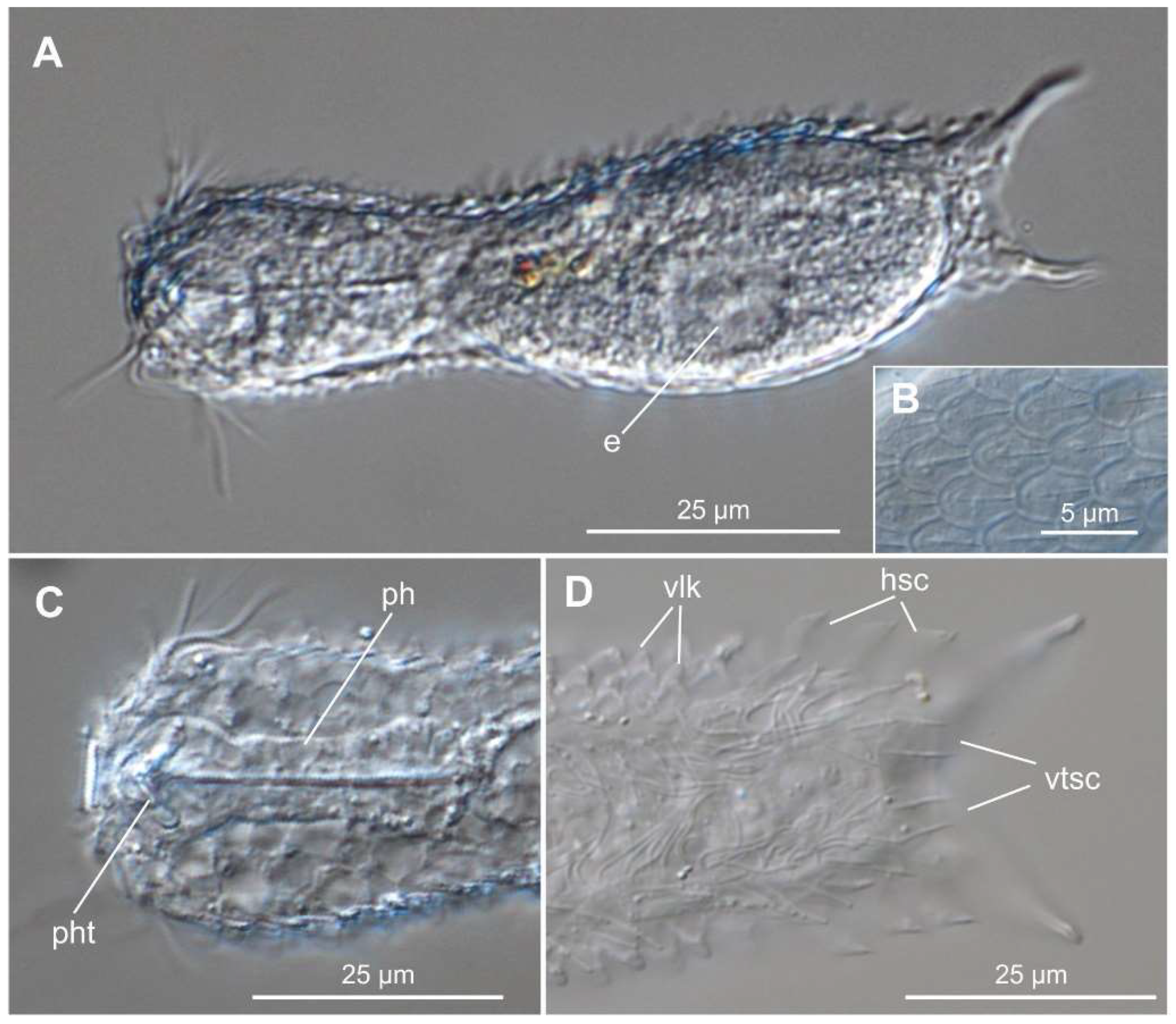 Preprints 140132 g023