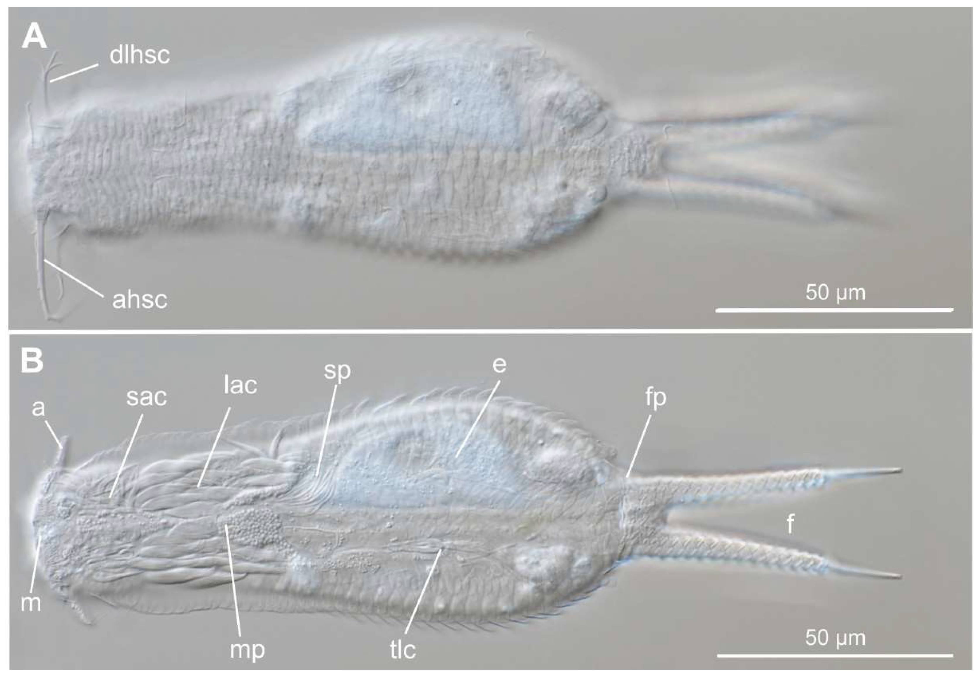 Preprints 140132 g026