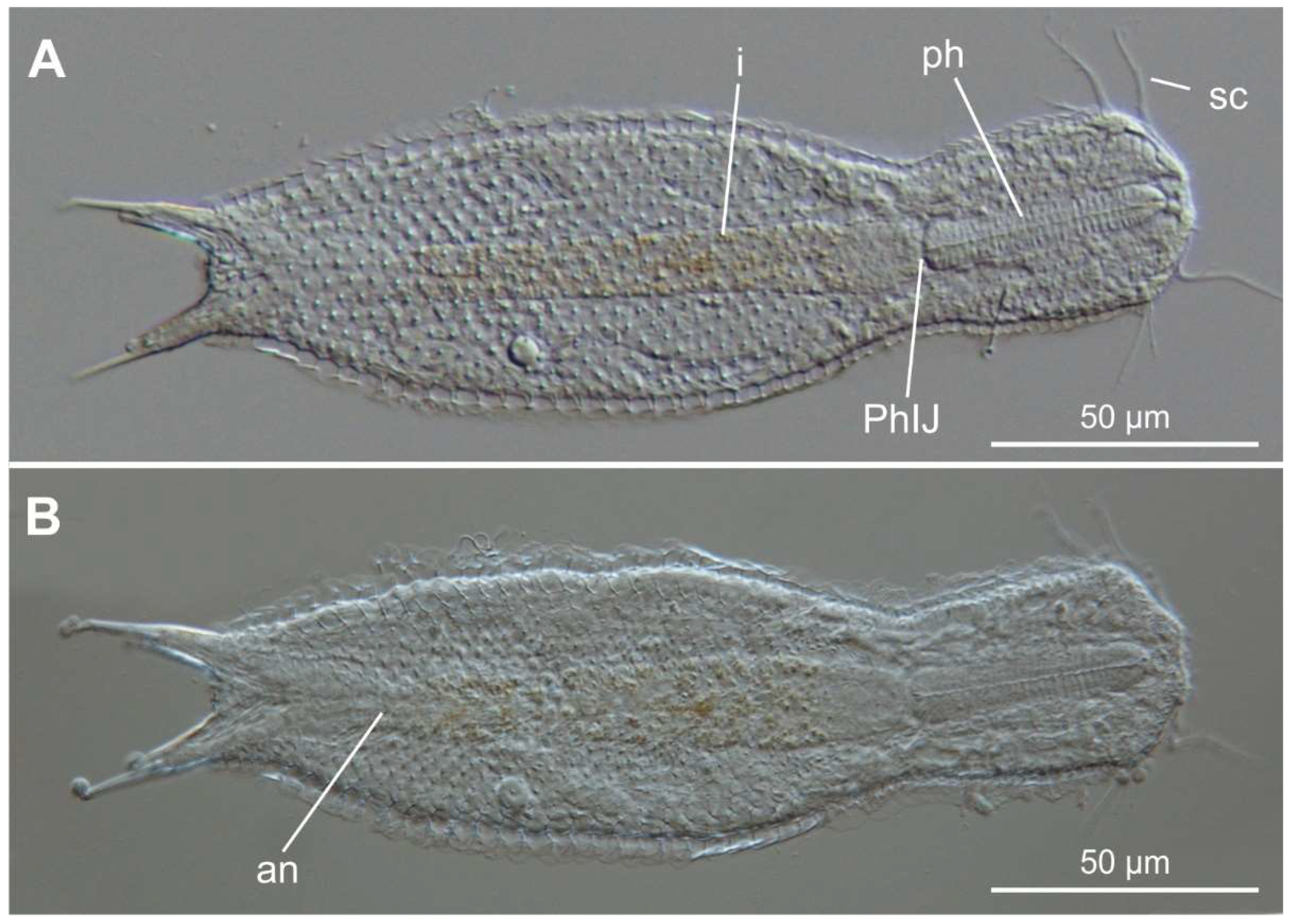 Preprints 140132 g028