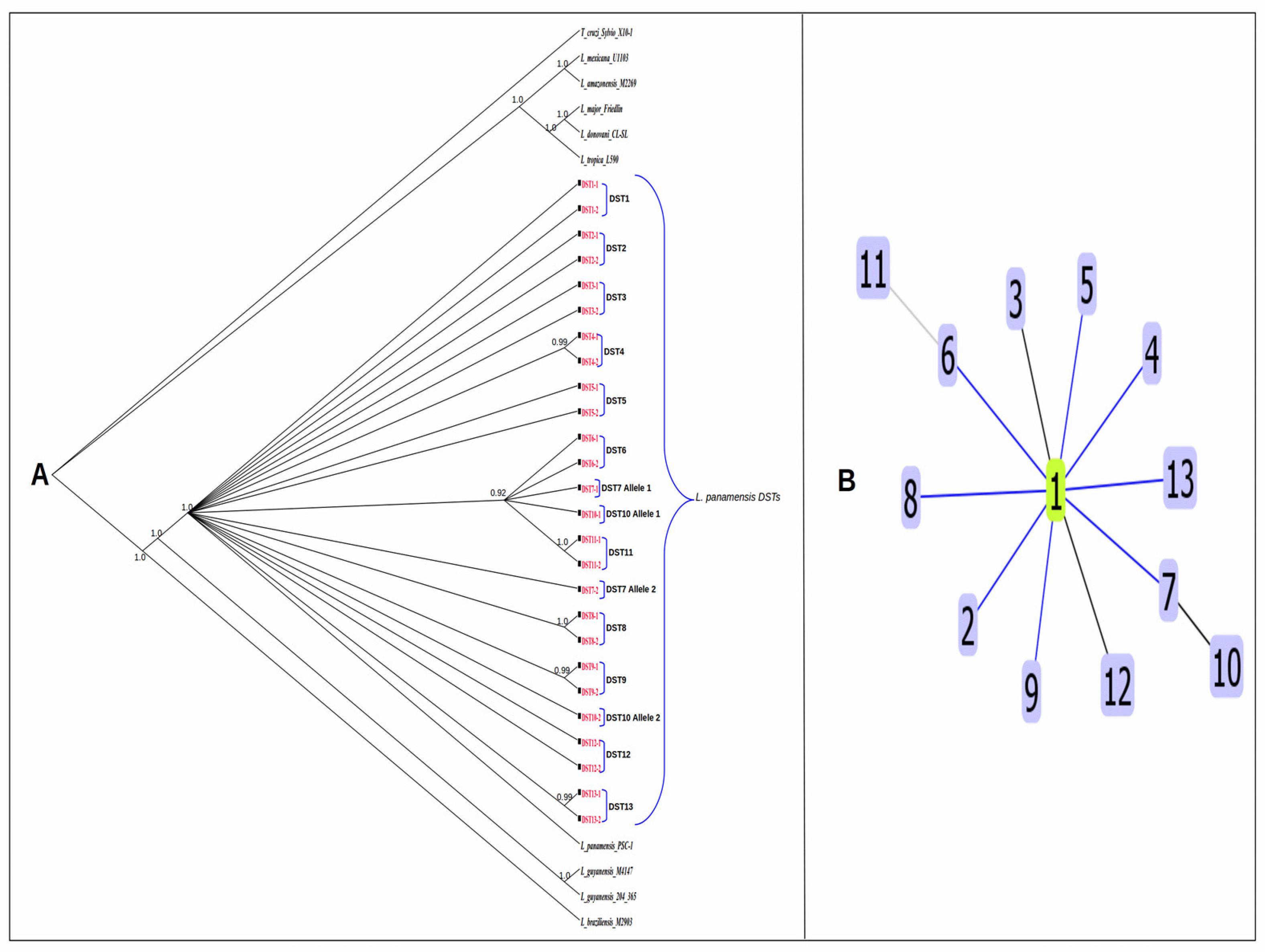 Preprints 71988 g003