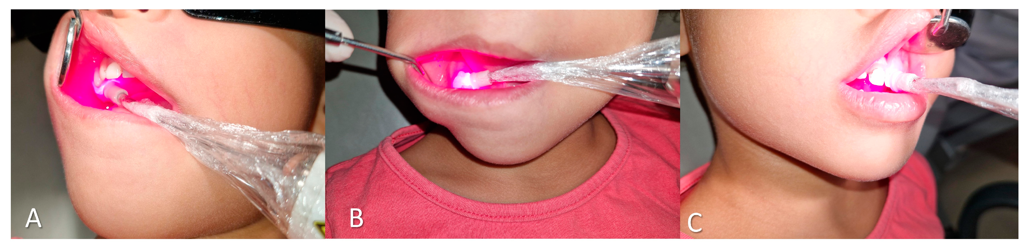 Preprints 158063 g001