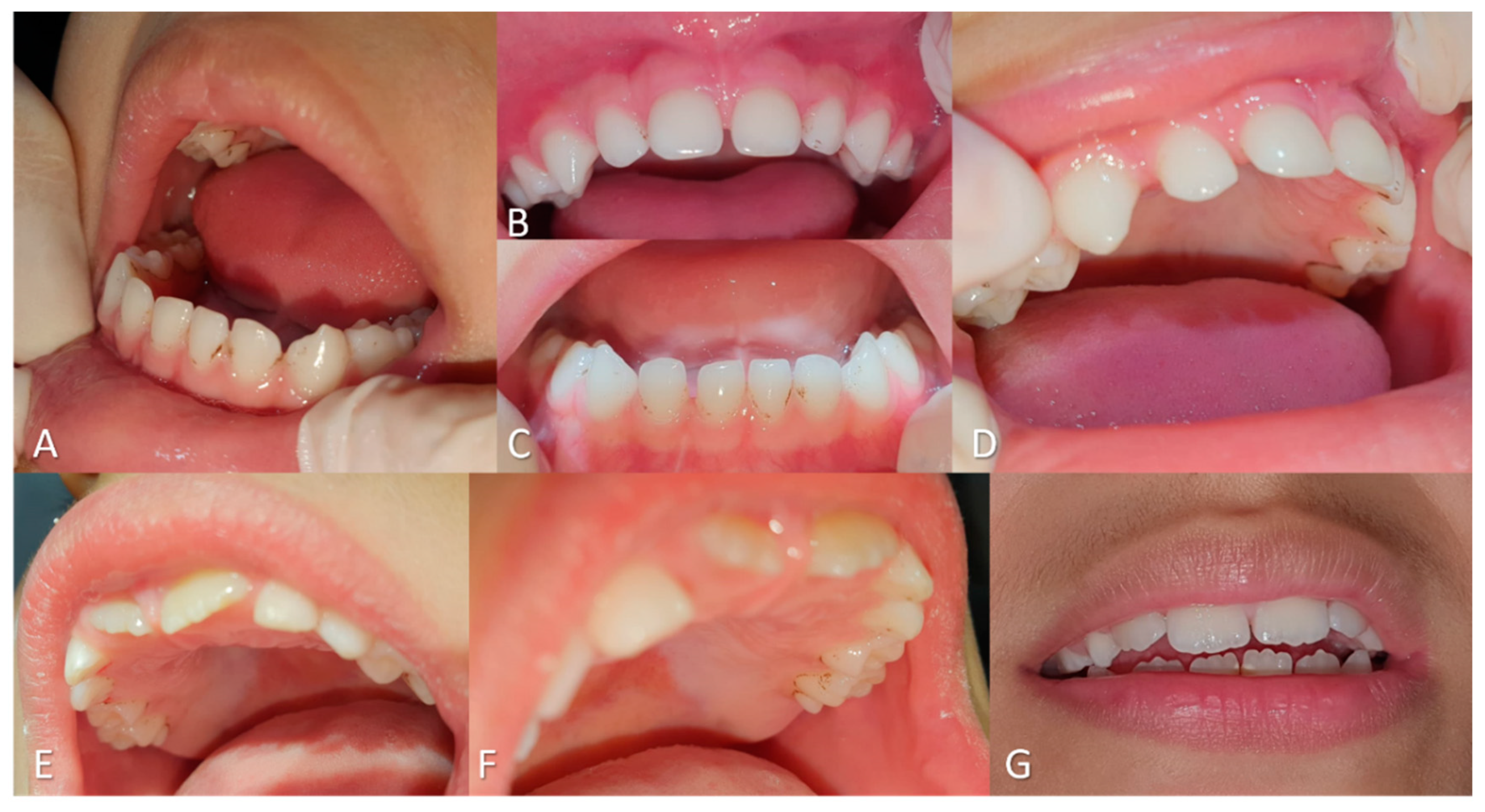 Preprints 158063 g002