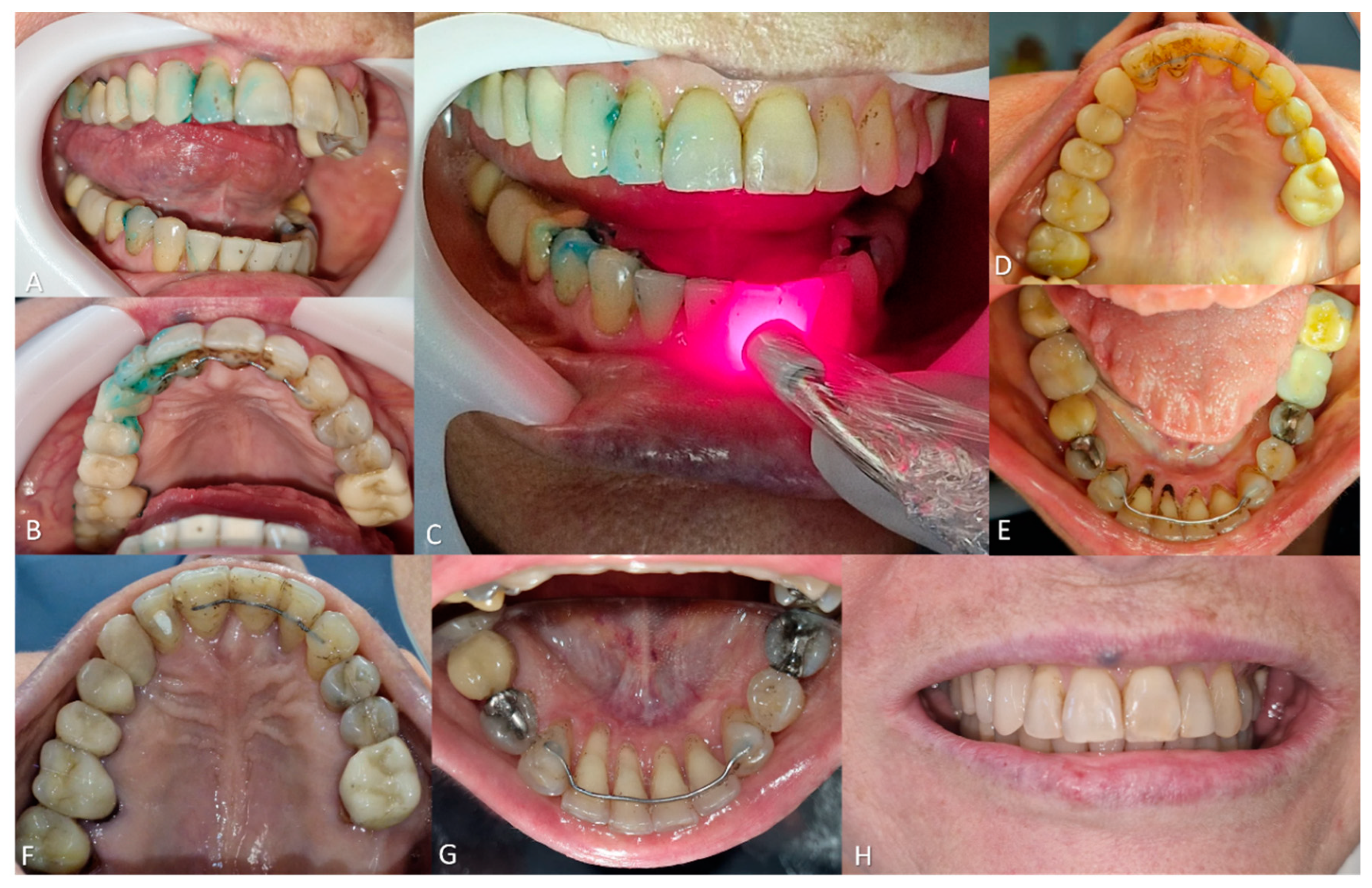 Preprints 158063 g005