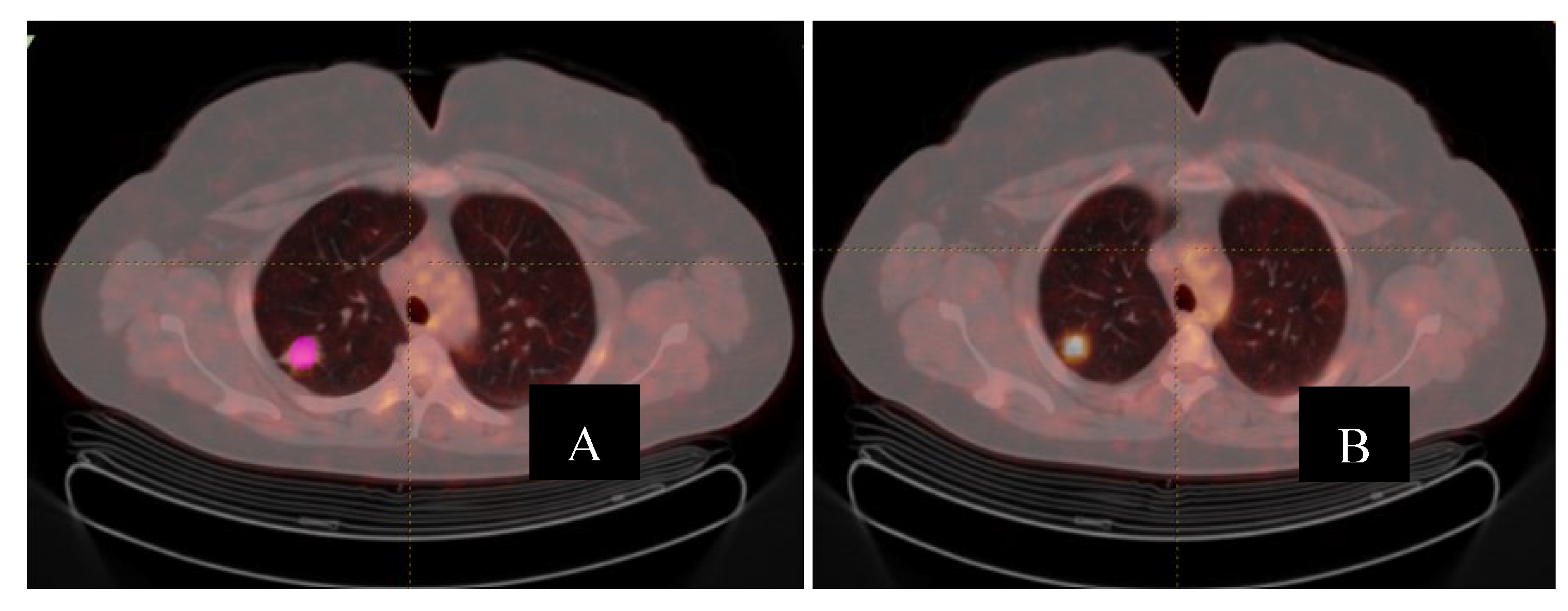 Preprints 195649 g001