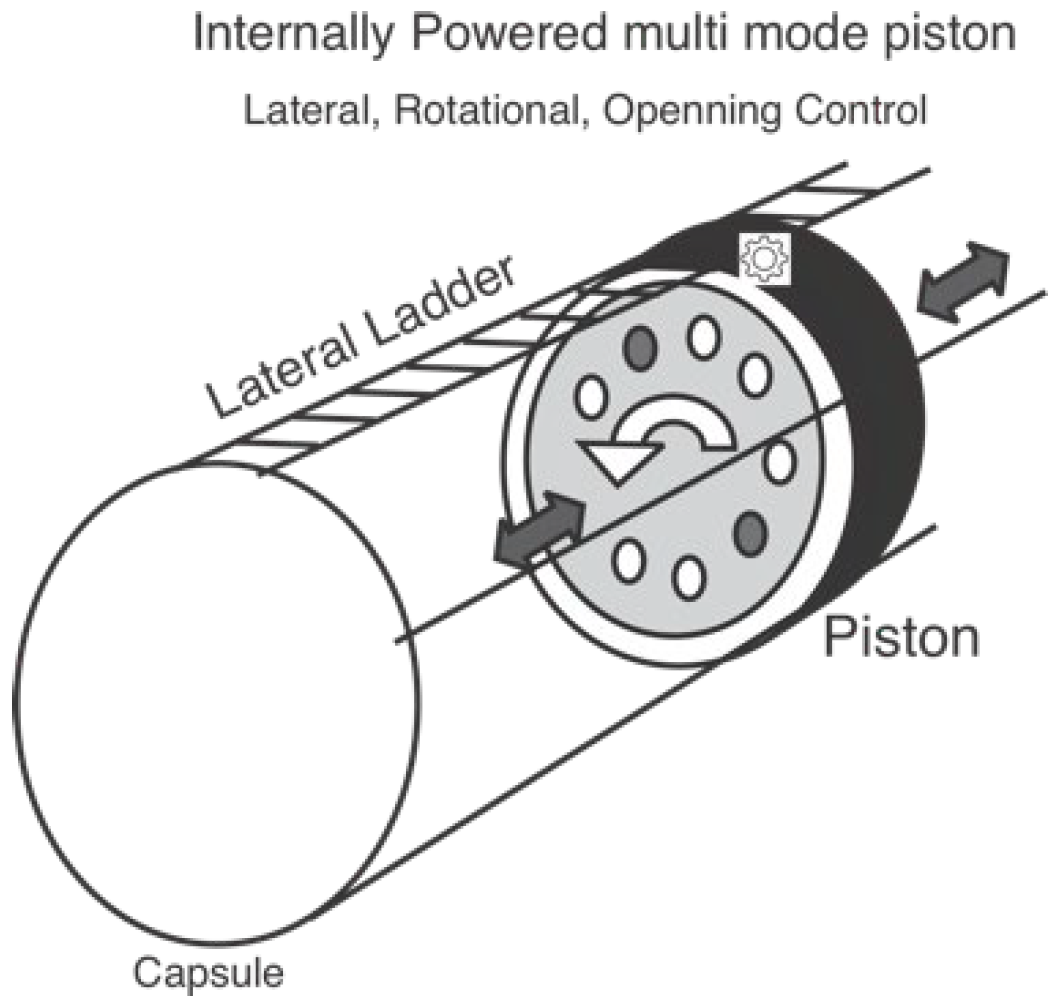 Preprints 139708 g004
