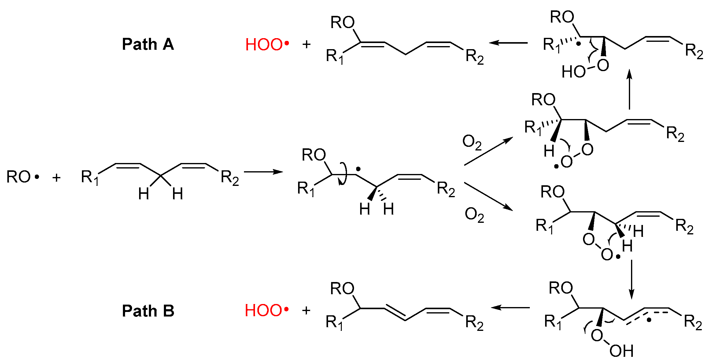 Preprints 82720 g004