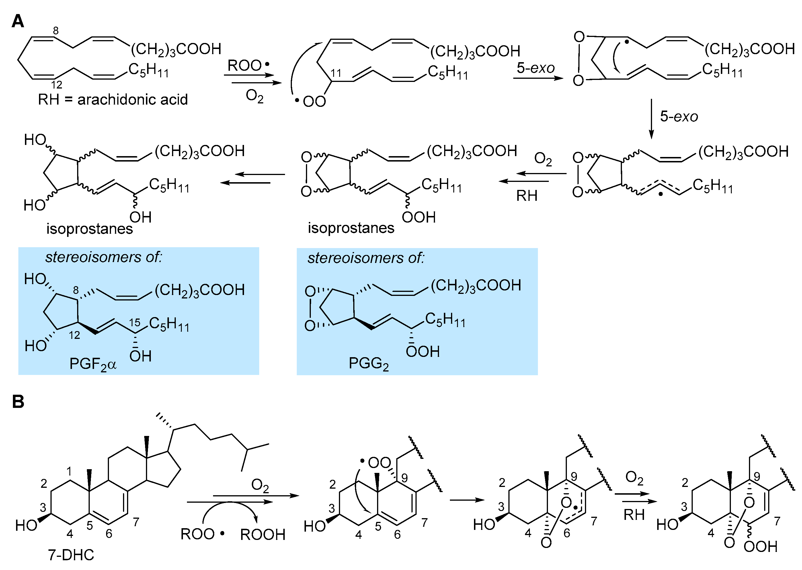 Preprints 82720 g005
