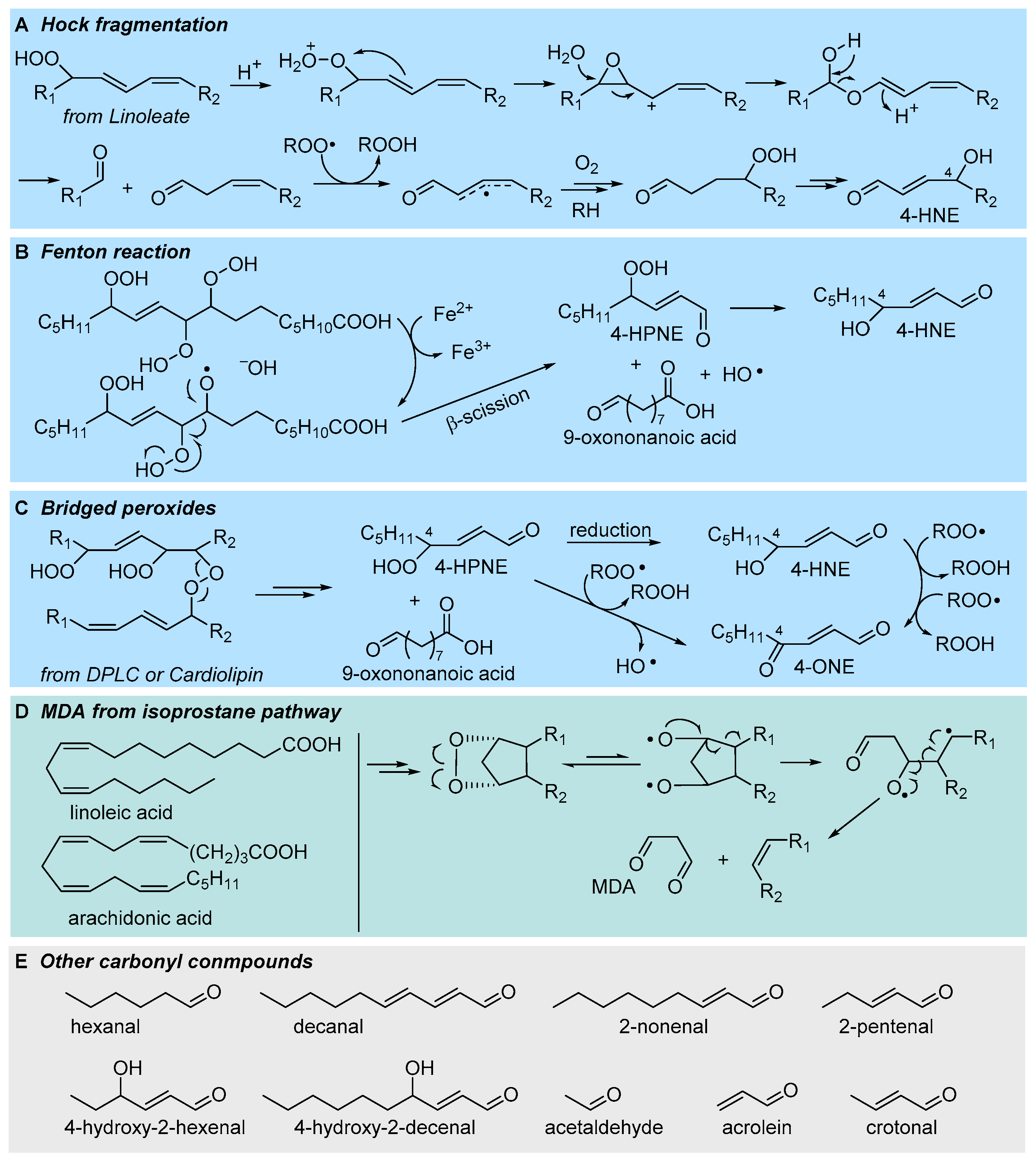 Preprints 82720 g007