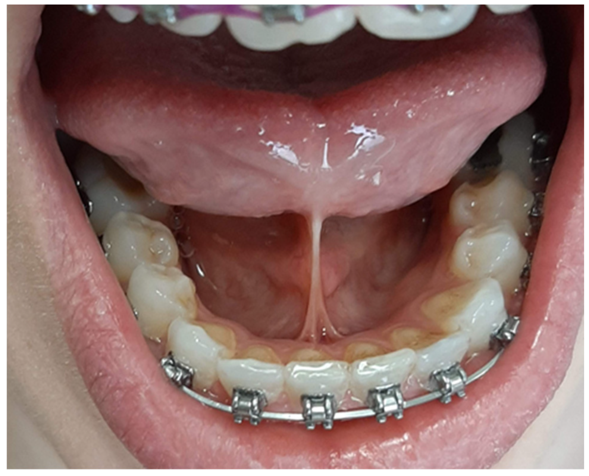 Preprints 88957 g002