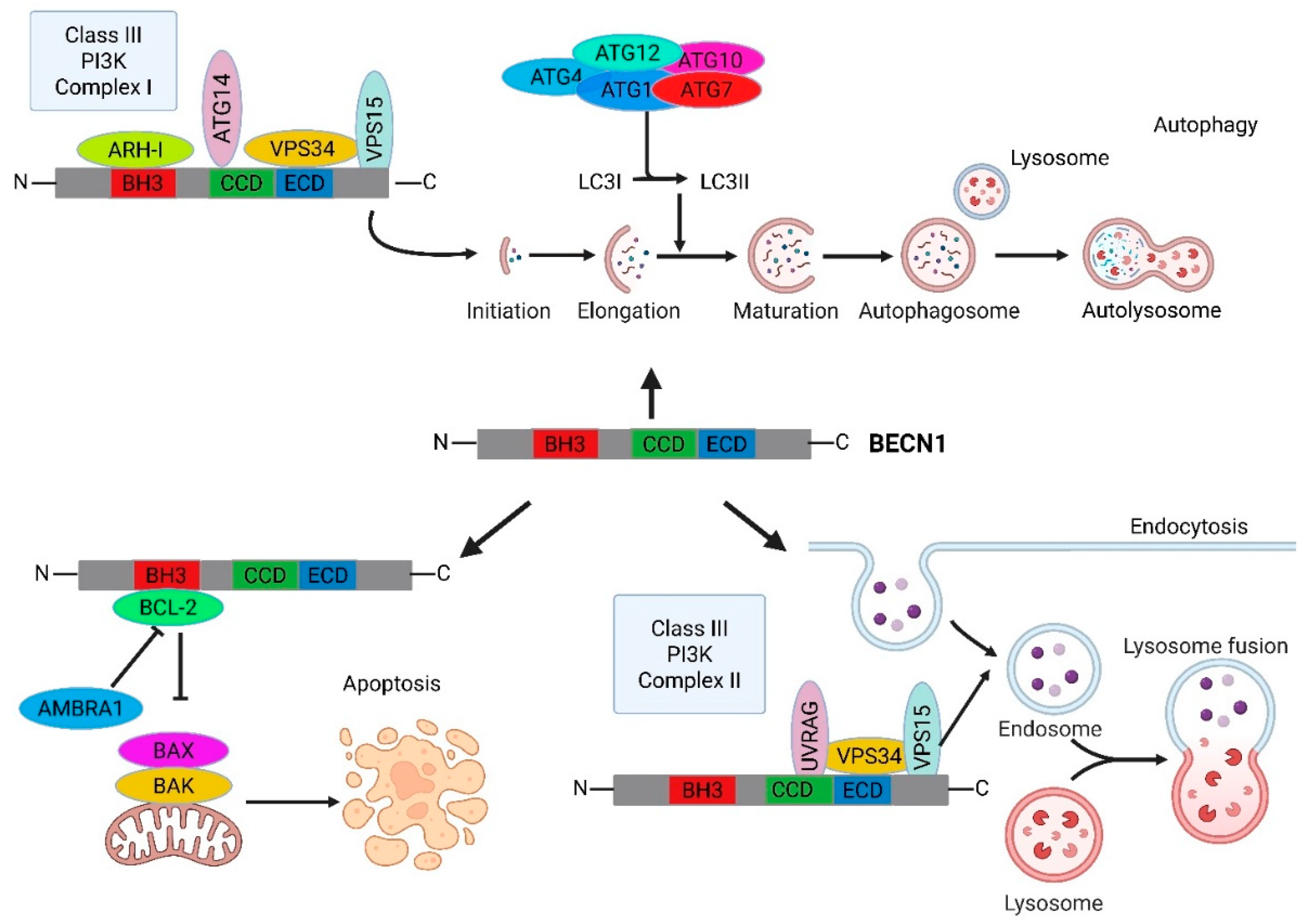 Preprints 170024 g001