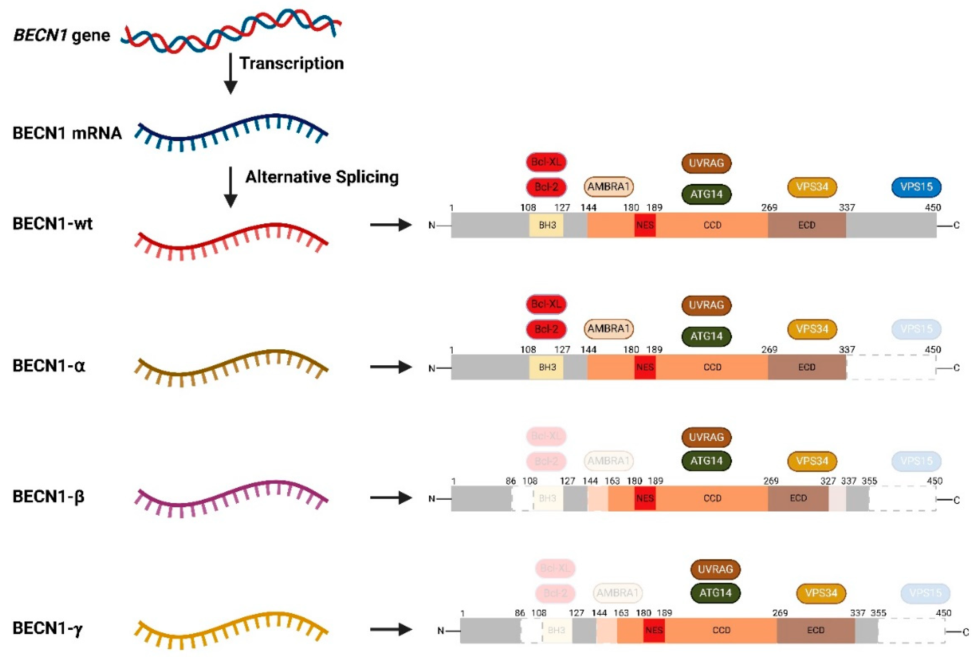 Preprints 170024 g004