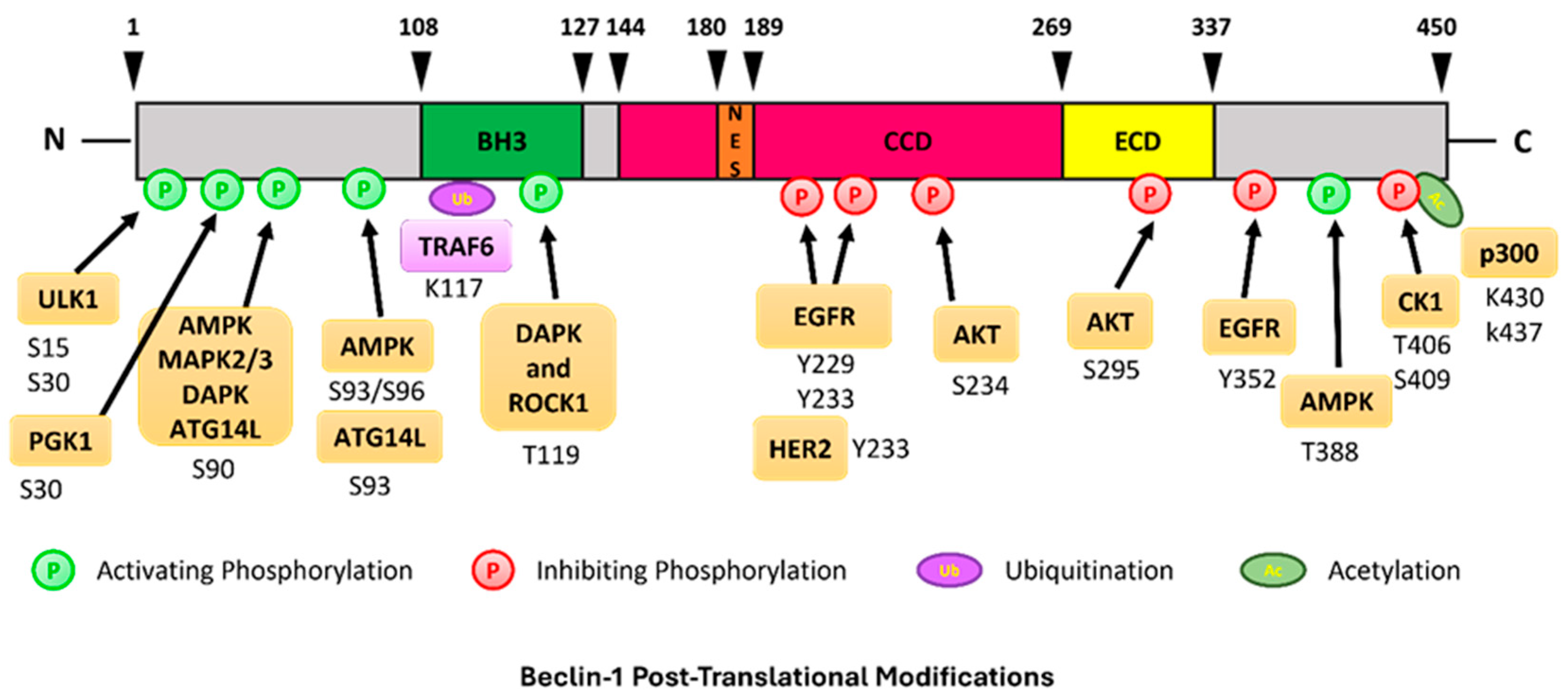 Preprints 170024 g005