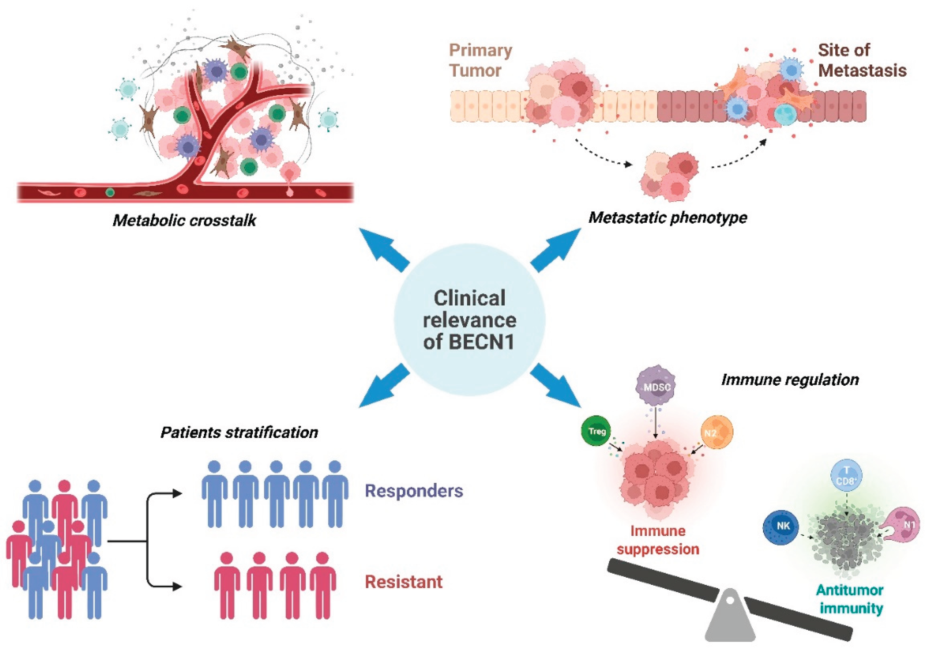 Preprints 170024 g006