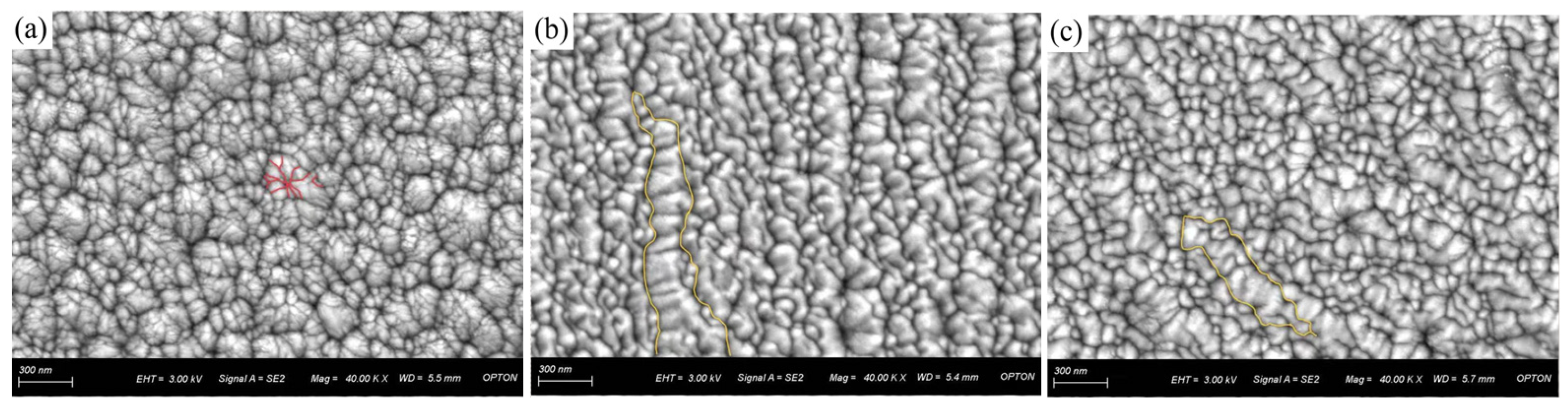 Preprints 162337 g002a