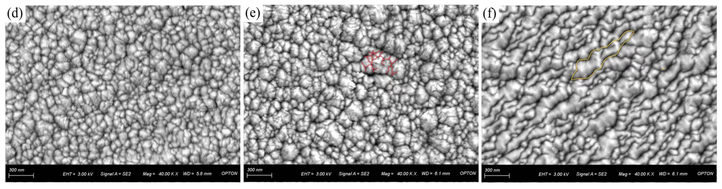 Preprints 162337 g002b