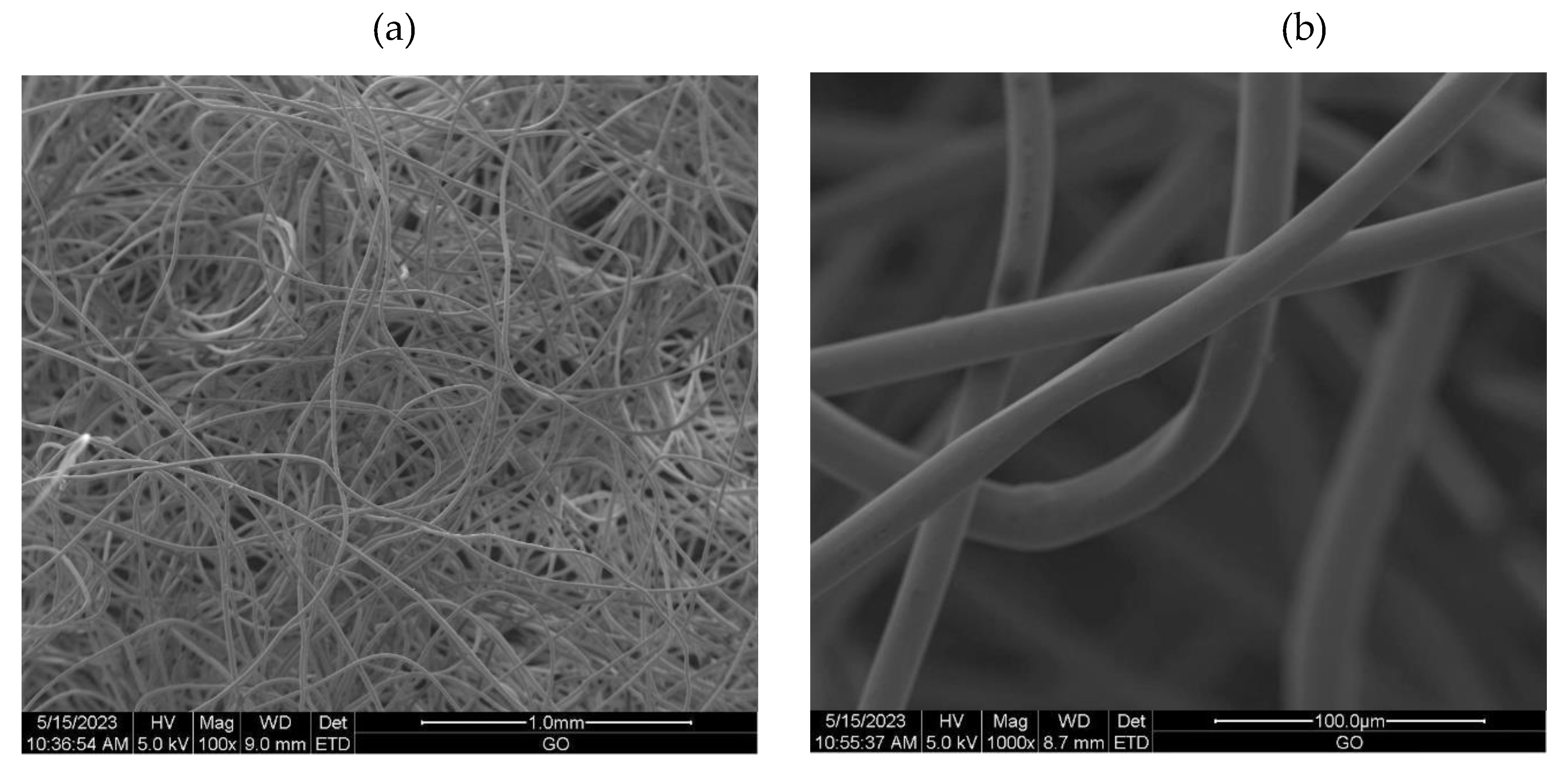 Preprints 79279 g001