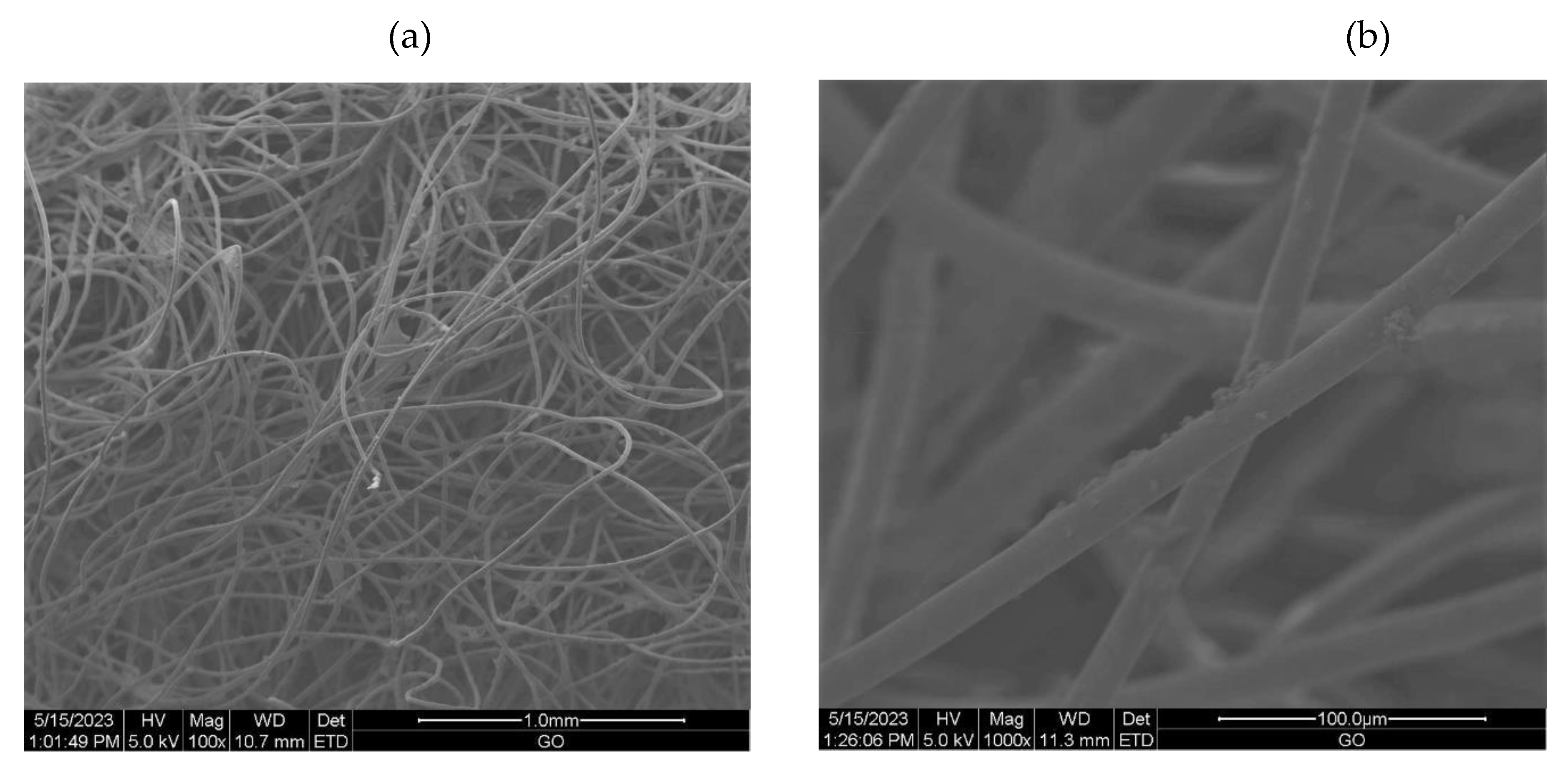 Preprints 79279 g002