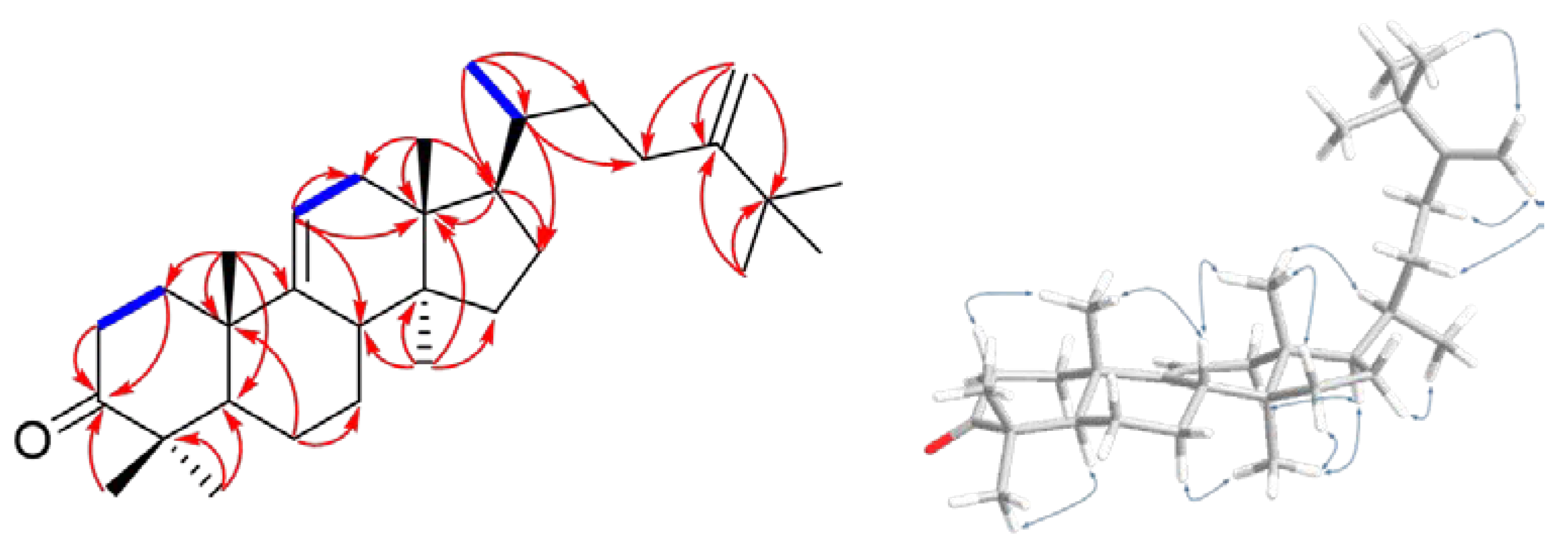 Preprints 72668 g005