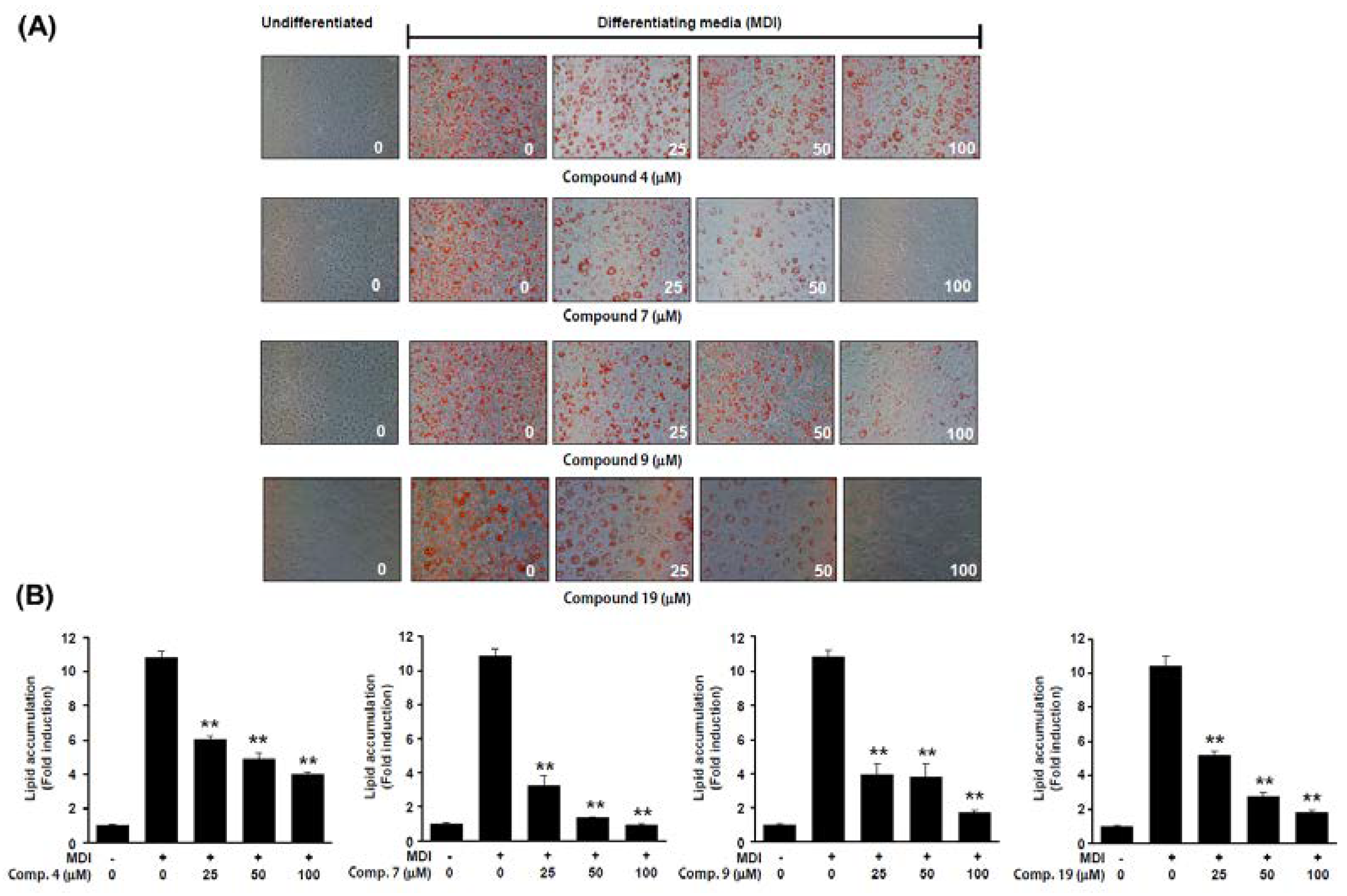 Preprints 72668 g007