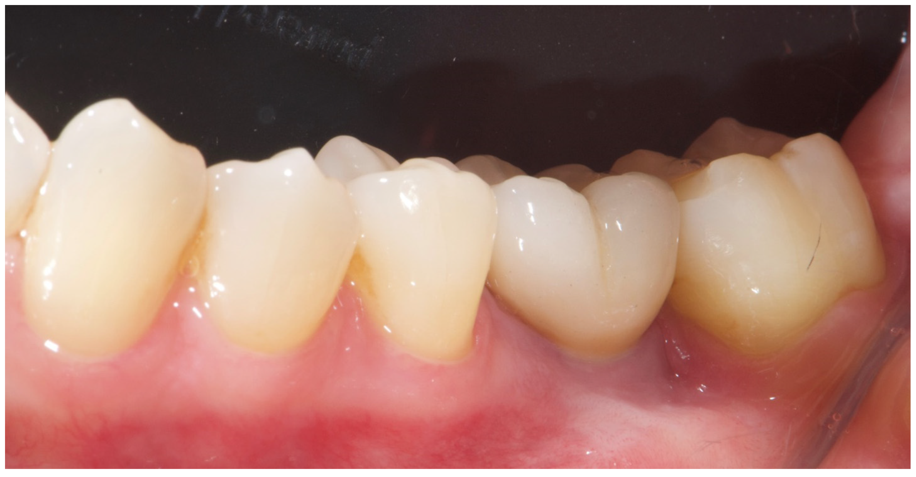 Preprints 162711 g002