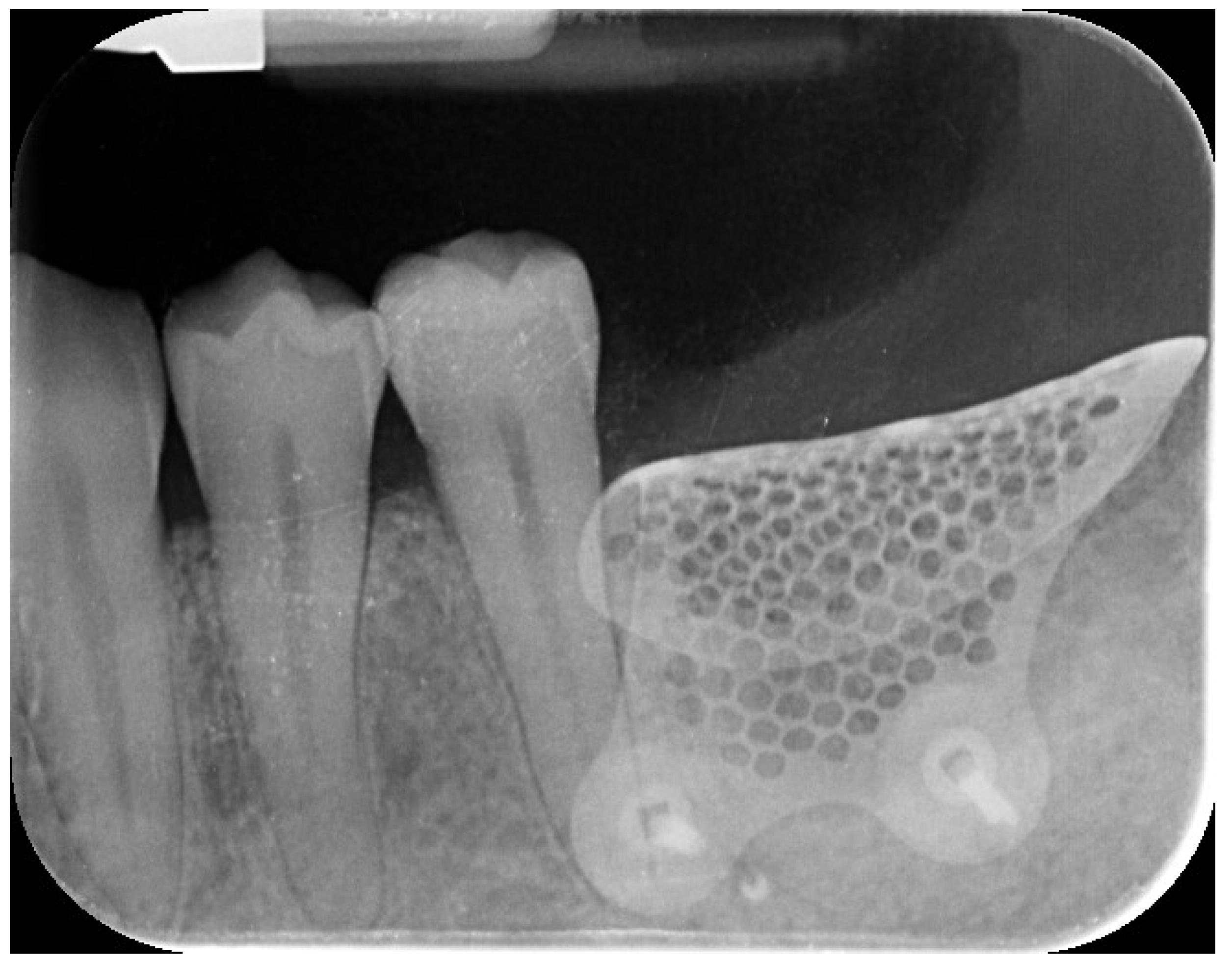 Preprints 162711 g006