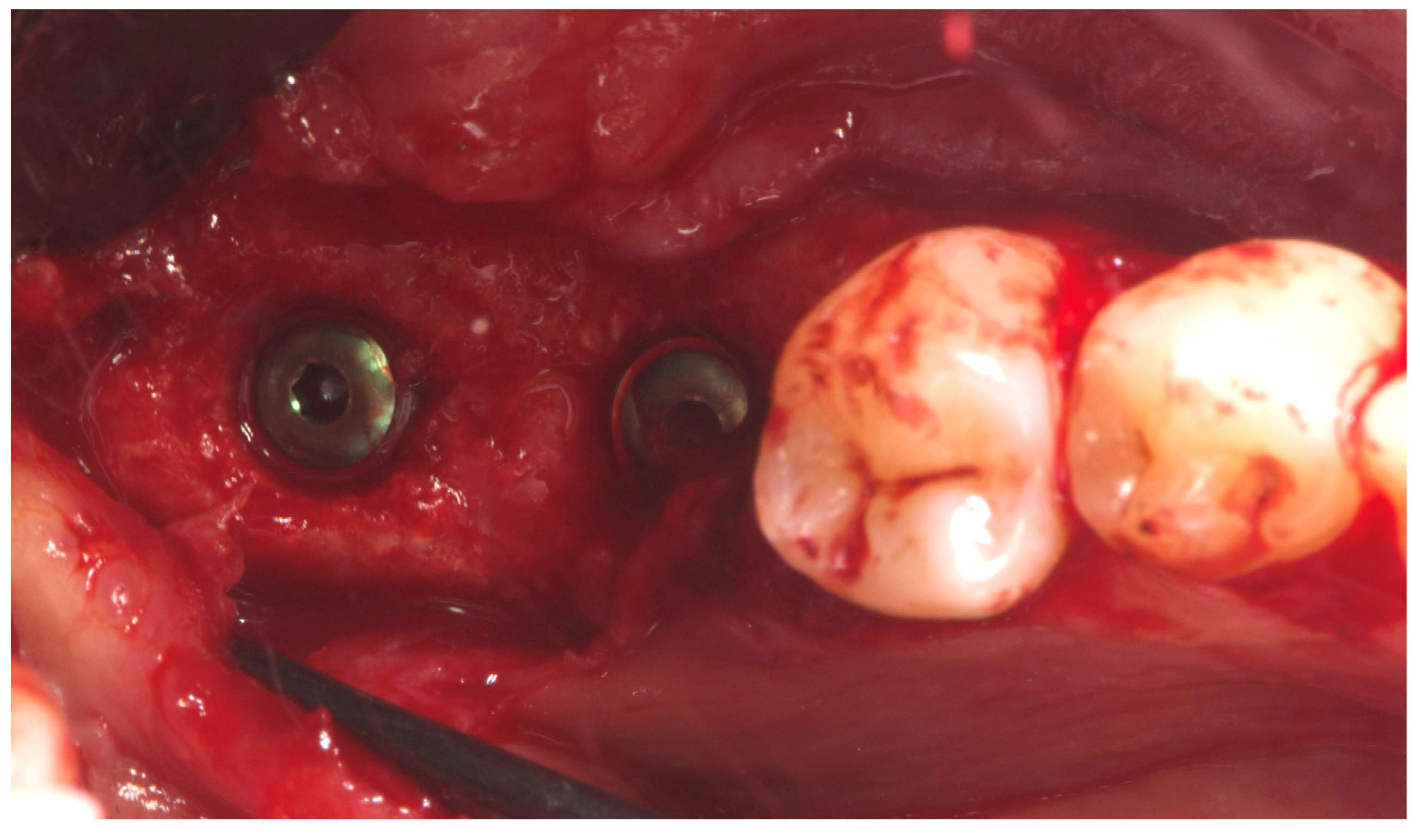 Preprints 162711 g008