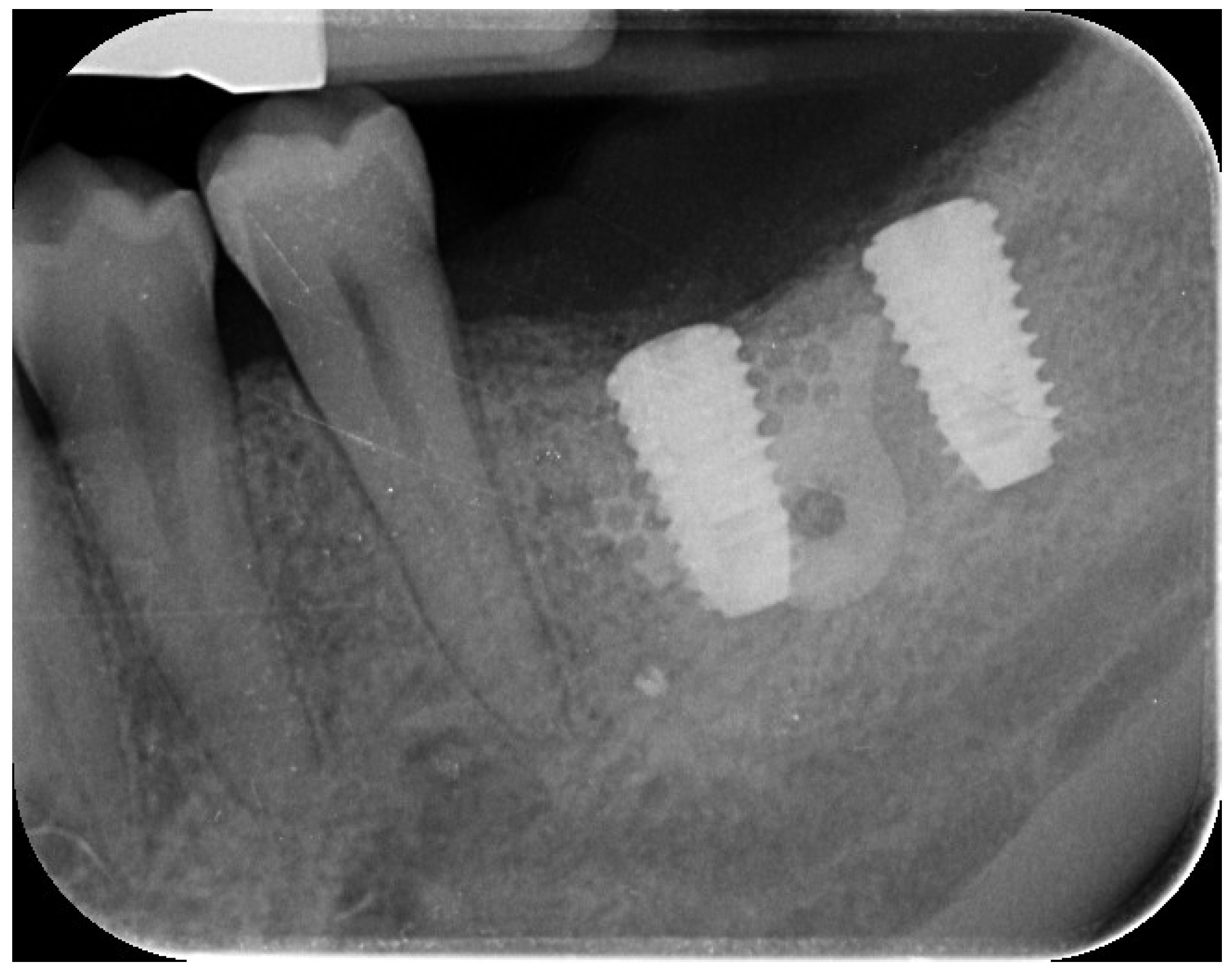 Preprints 162711 g009