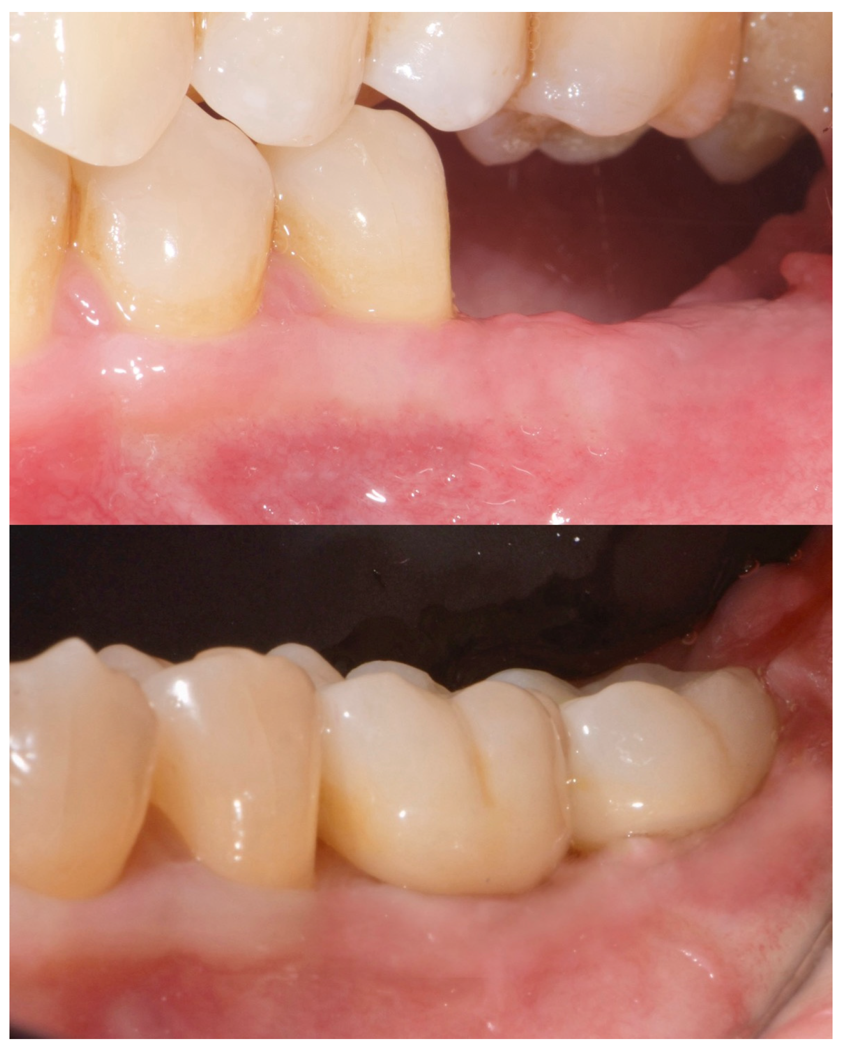 Preprints 162711 g010