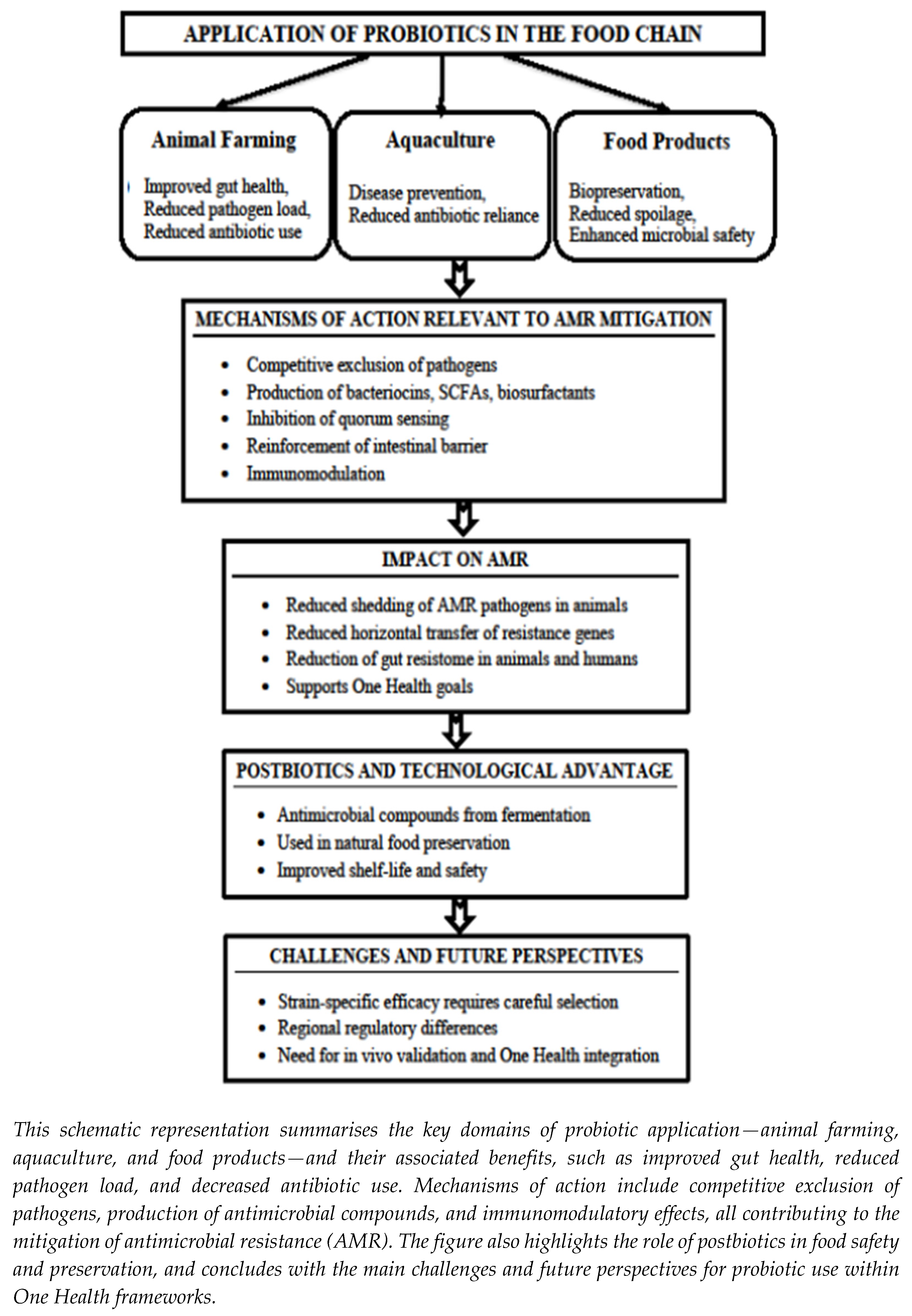 Preprints 176848 g001