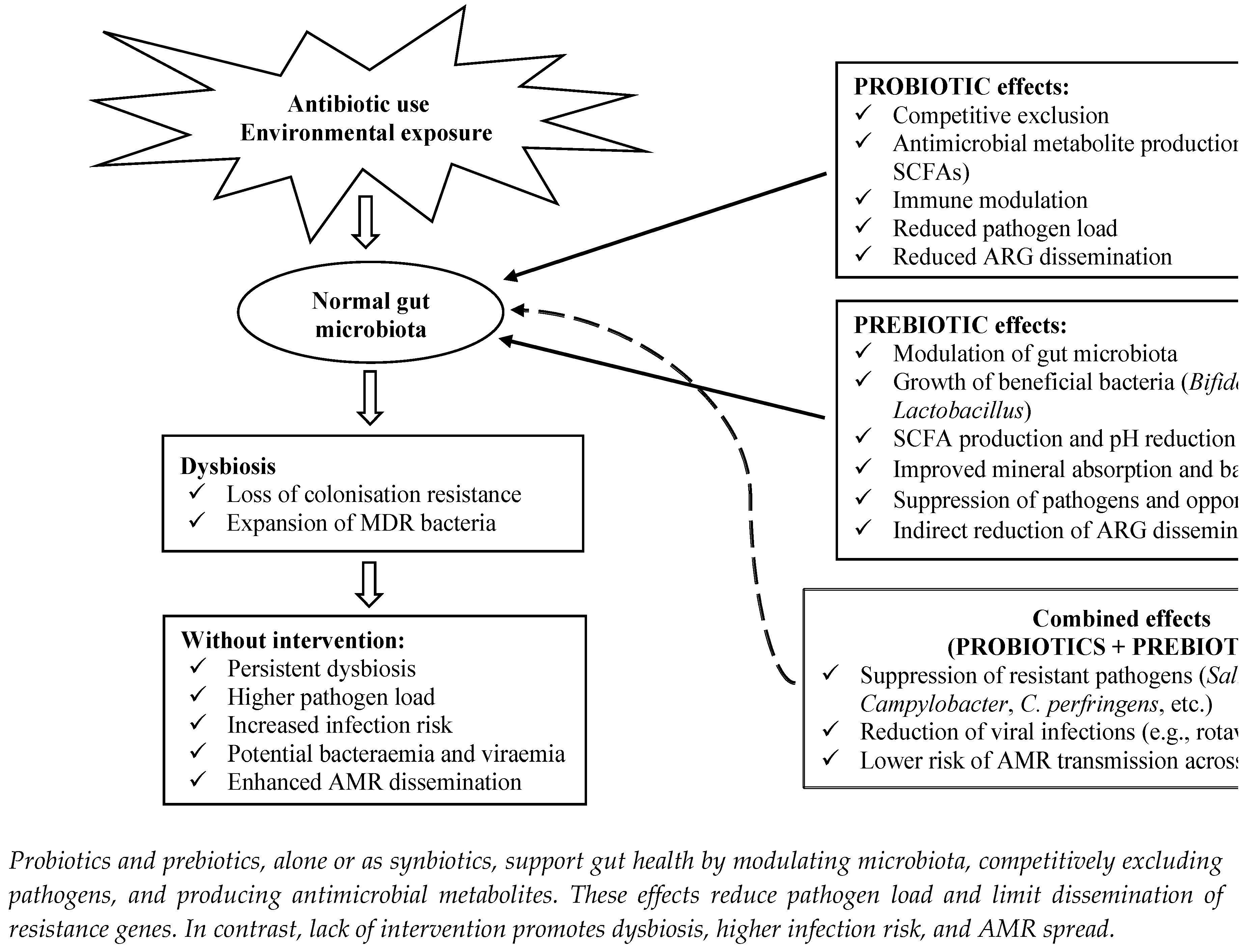 Preprints 176848 g002