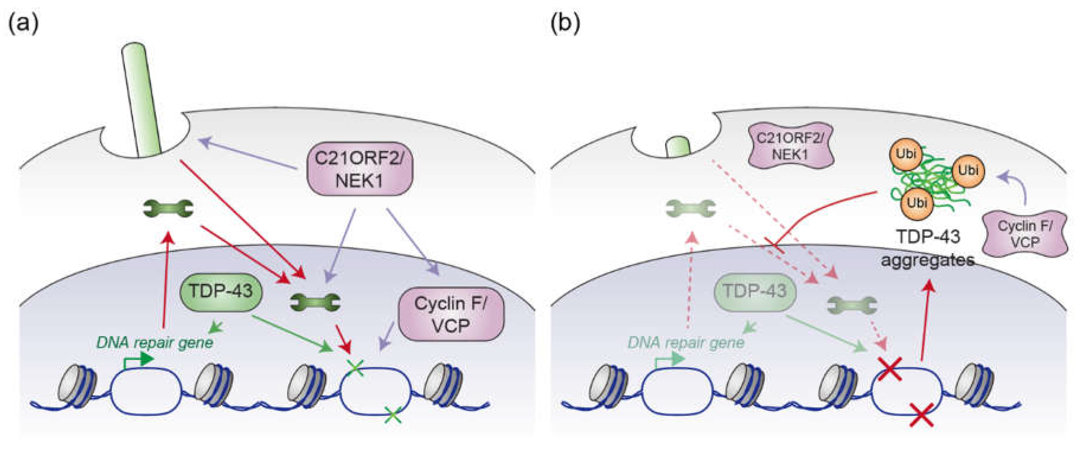 Preprints 152576 g003