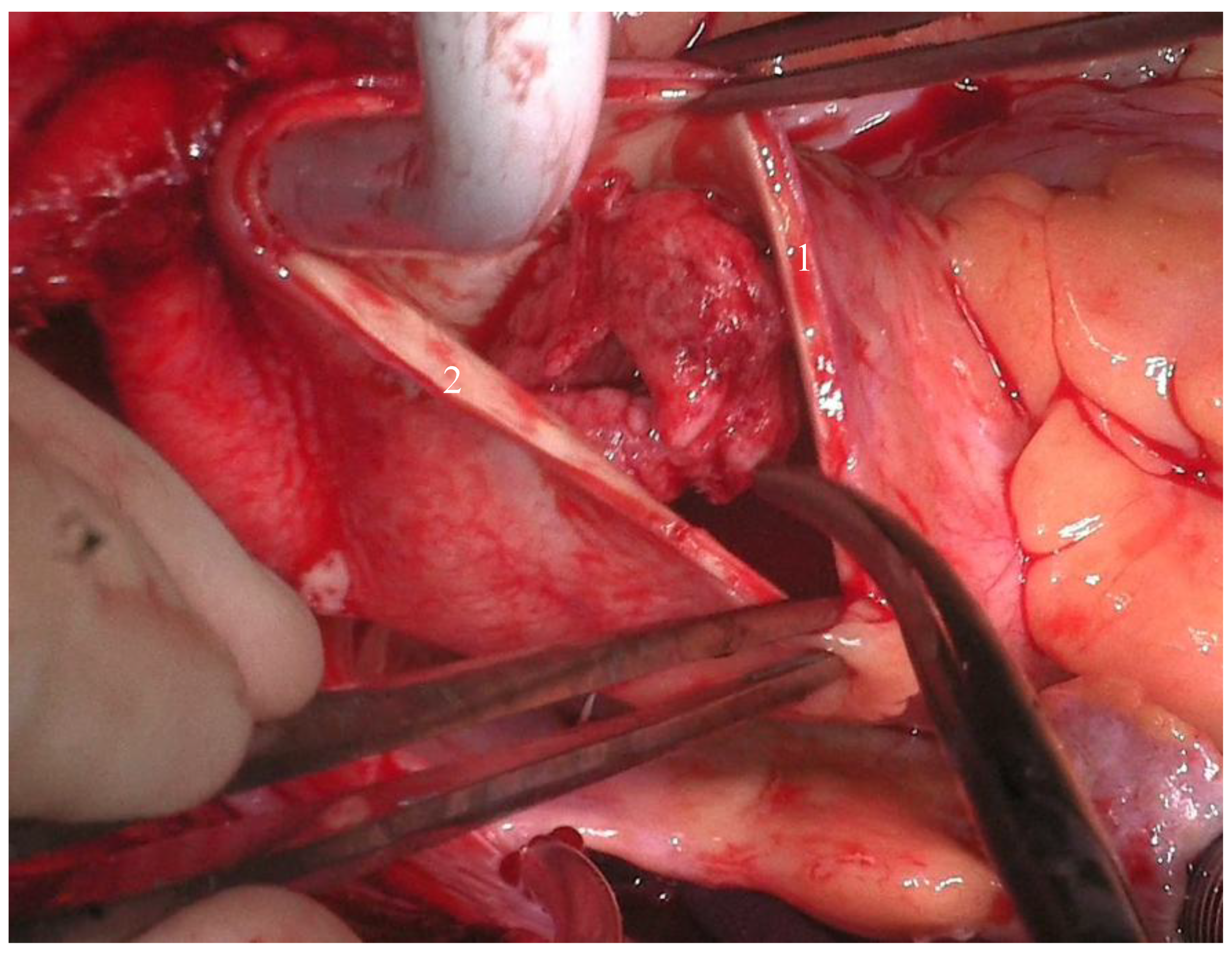 Preprints 162214 g002