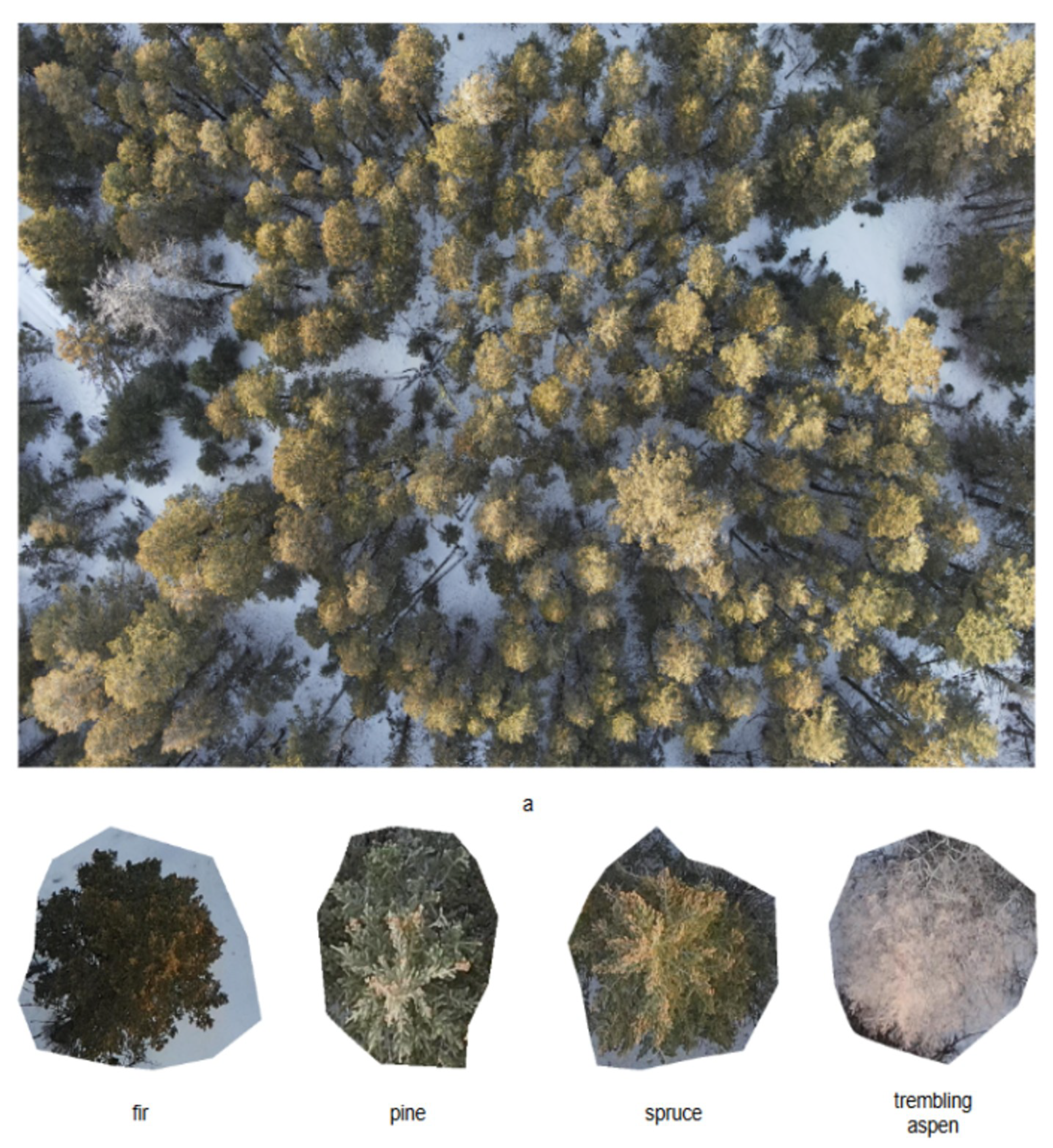 Preprints 170111 g002