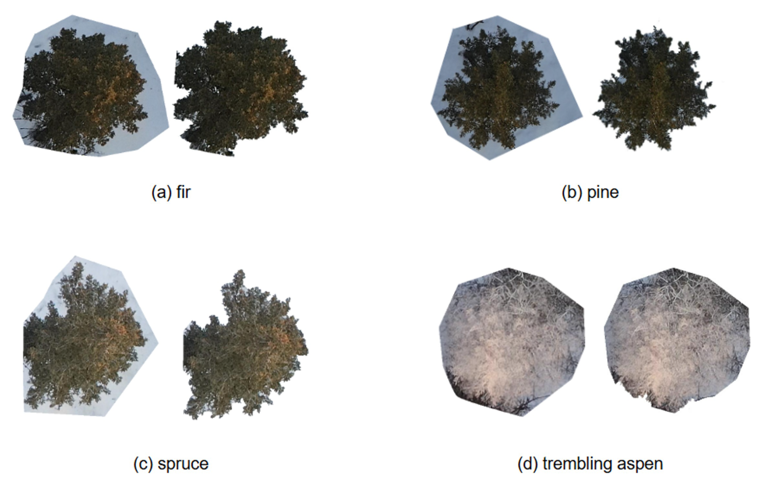 Preprints 170111 g004
