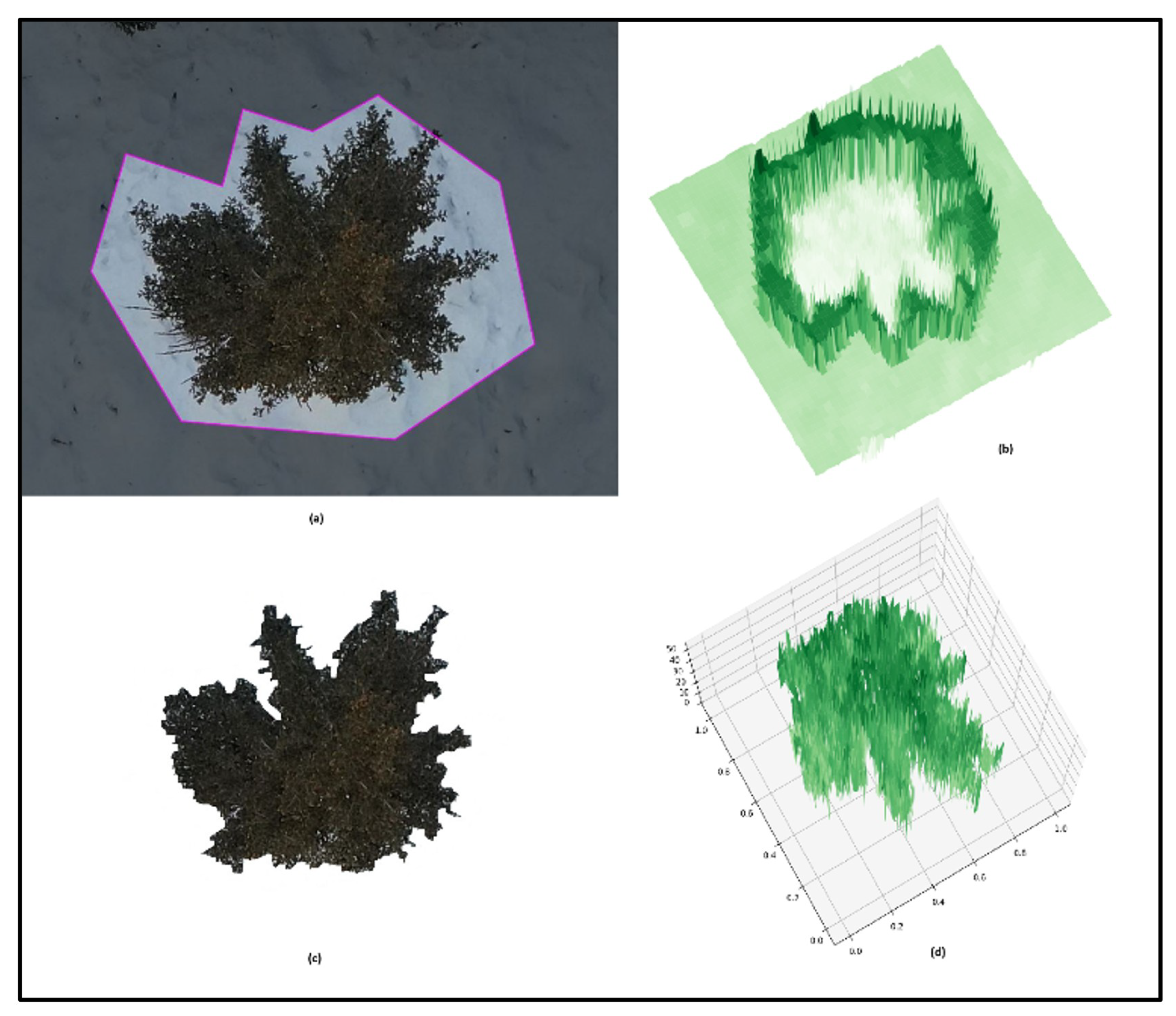 Preprints 170111 g005
