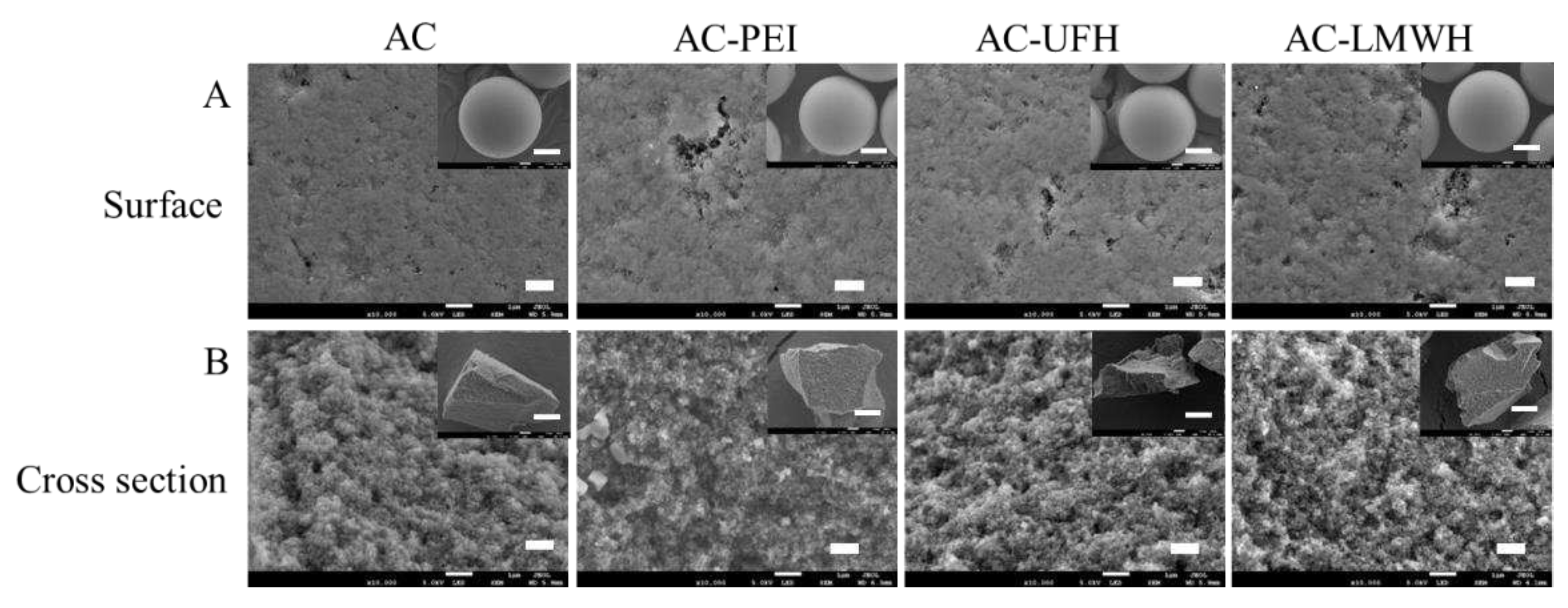 Preprints 74281 g002