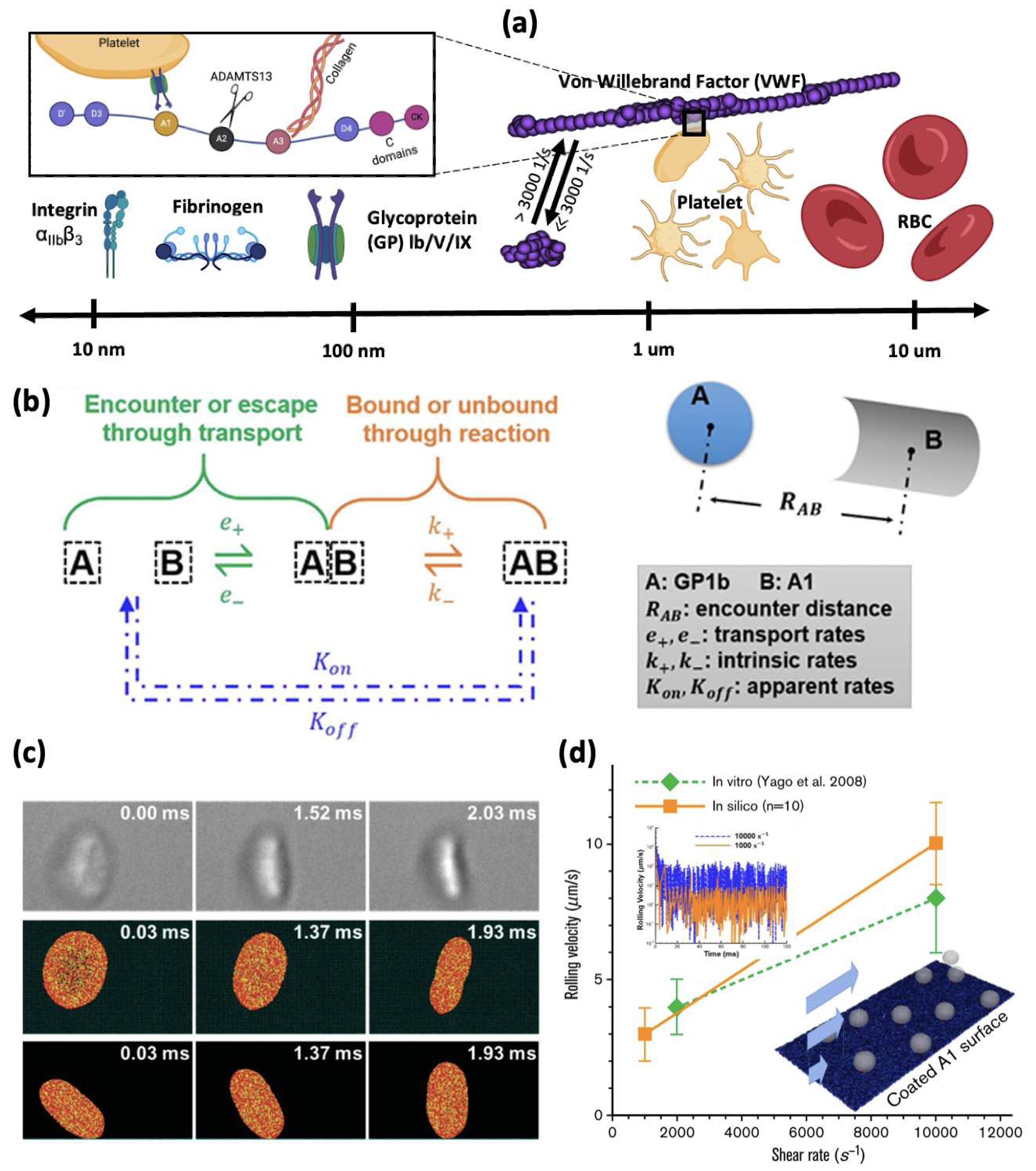Preprints 98866 g002