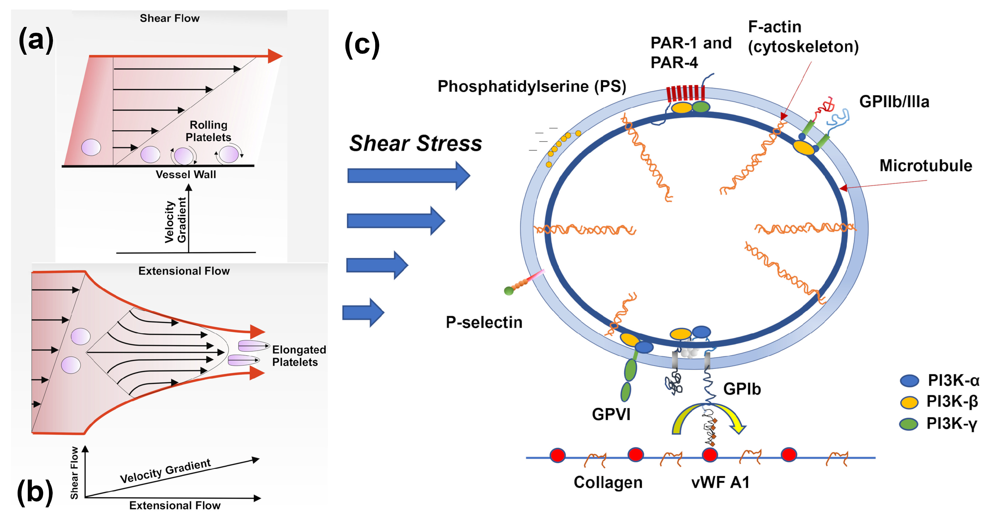 Preprints 98866 g003